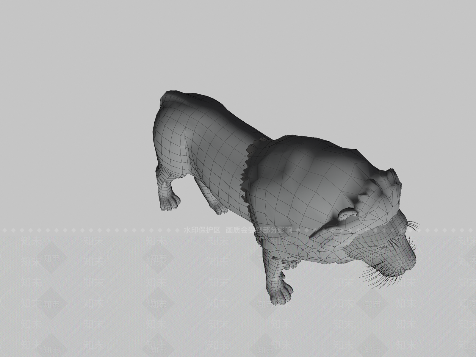 其他动物3D模型下载【ID:1197634016】