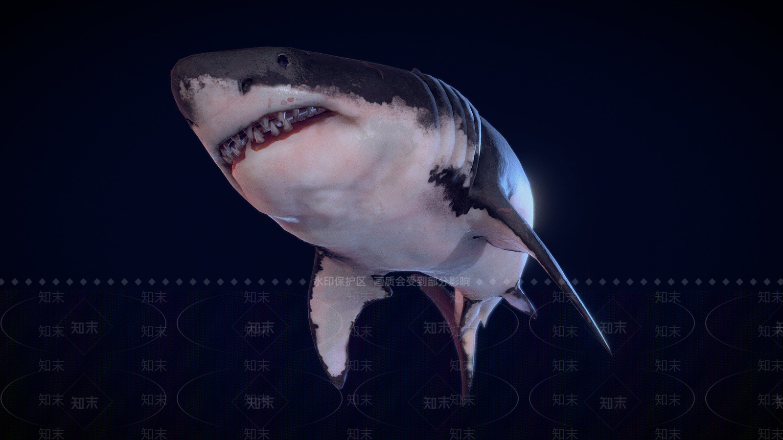 其他动物3D模型下载【ID:1197636221】