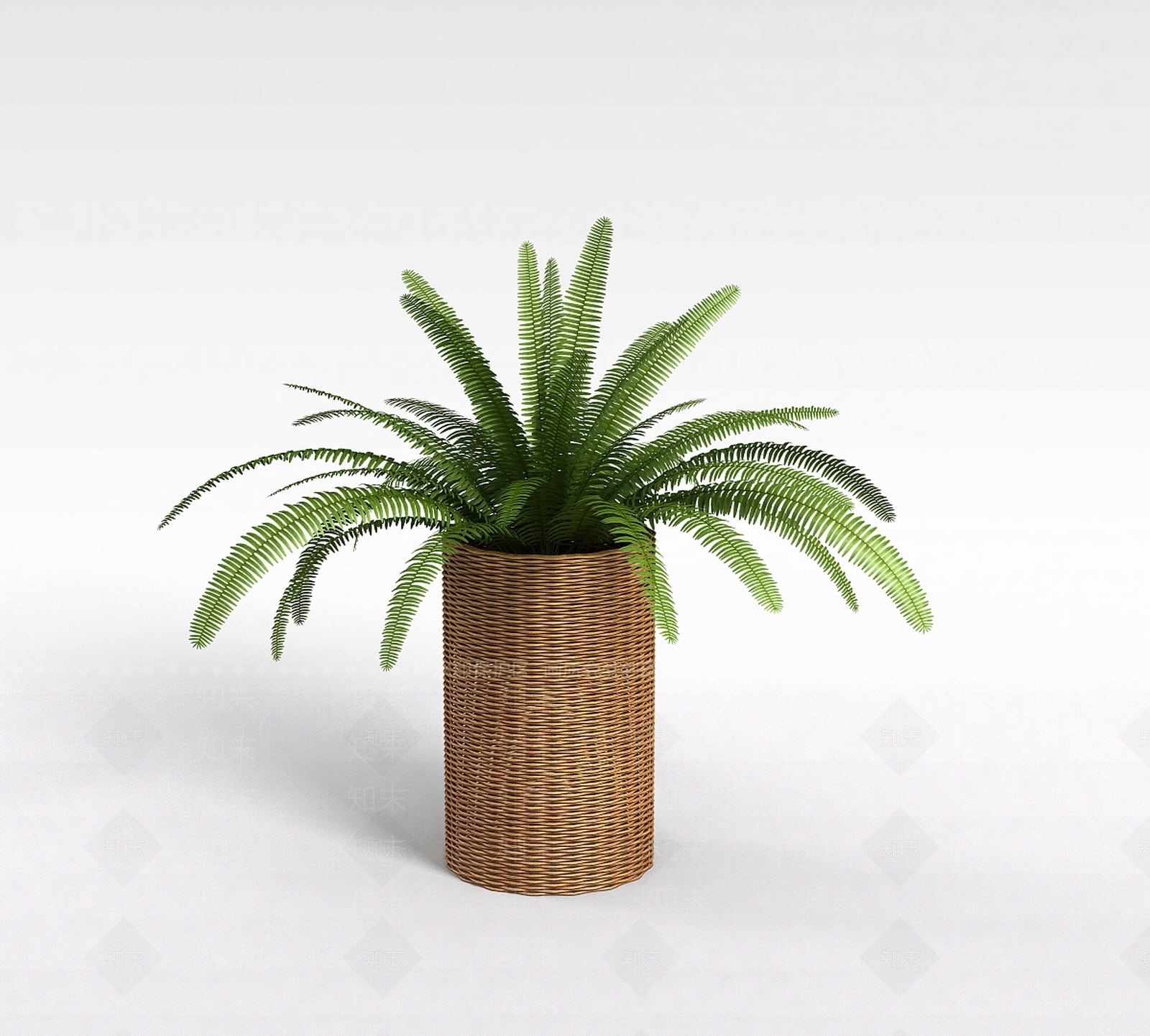 现代室内绿植3D模型下载【ID:1197651597】