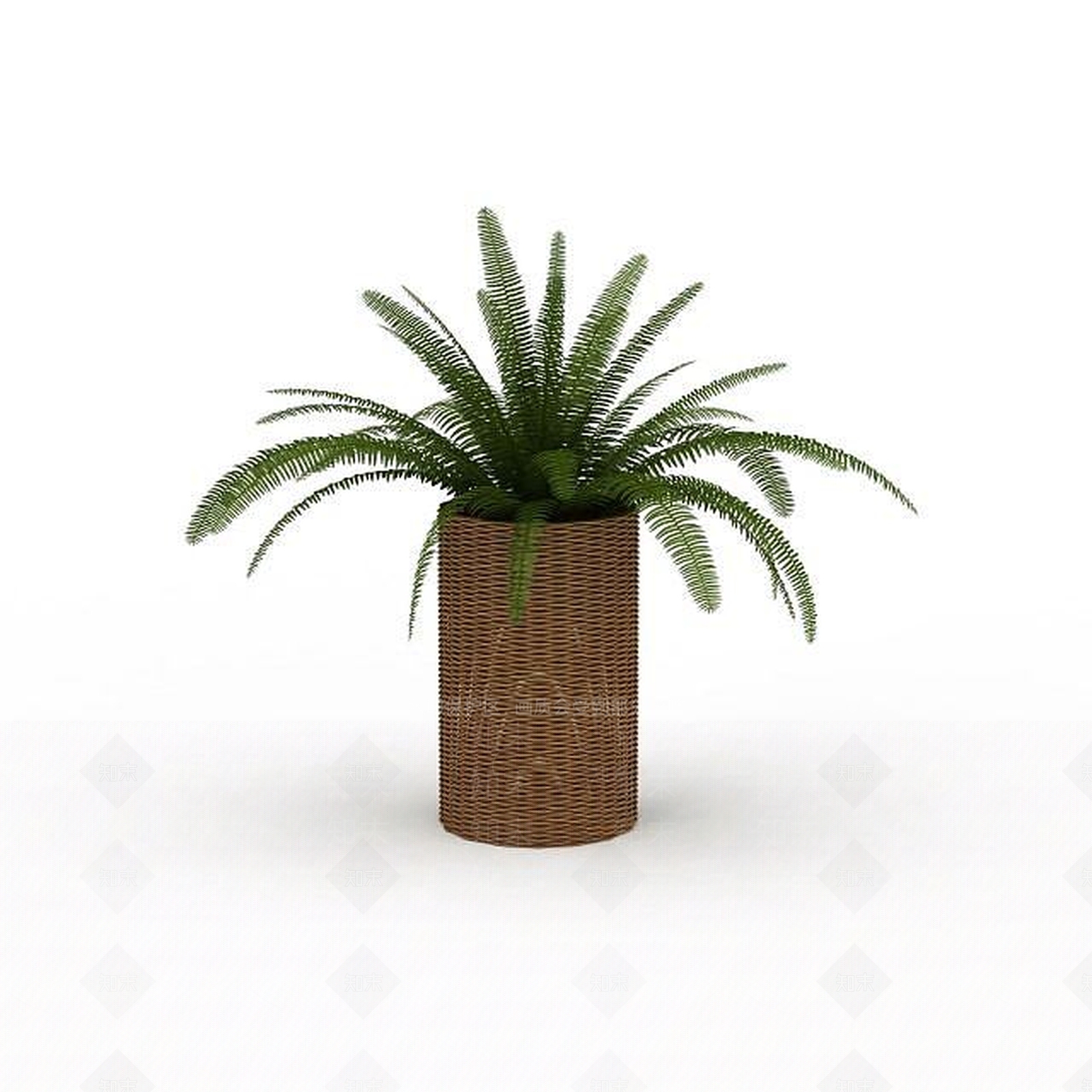 现代室内绿植3D模型下载【ID:1197651597】