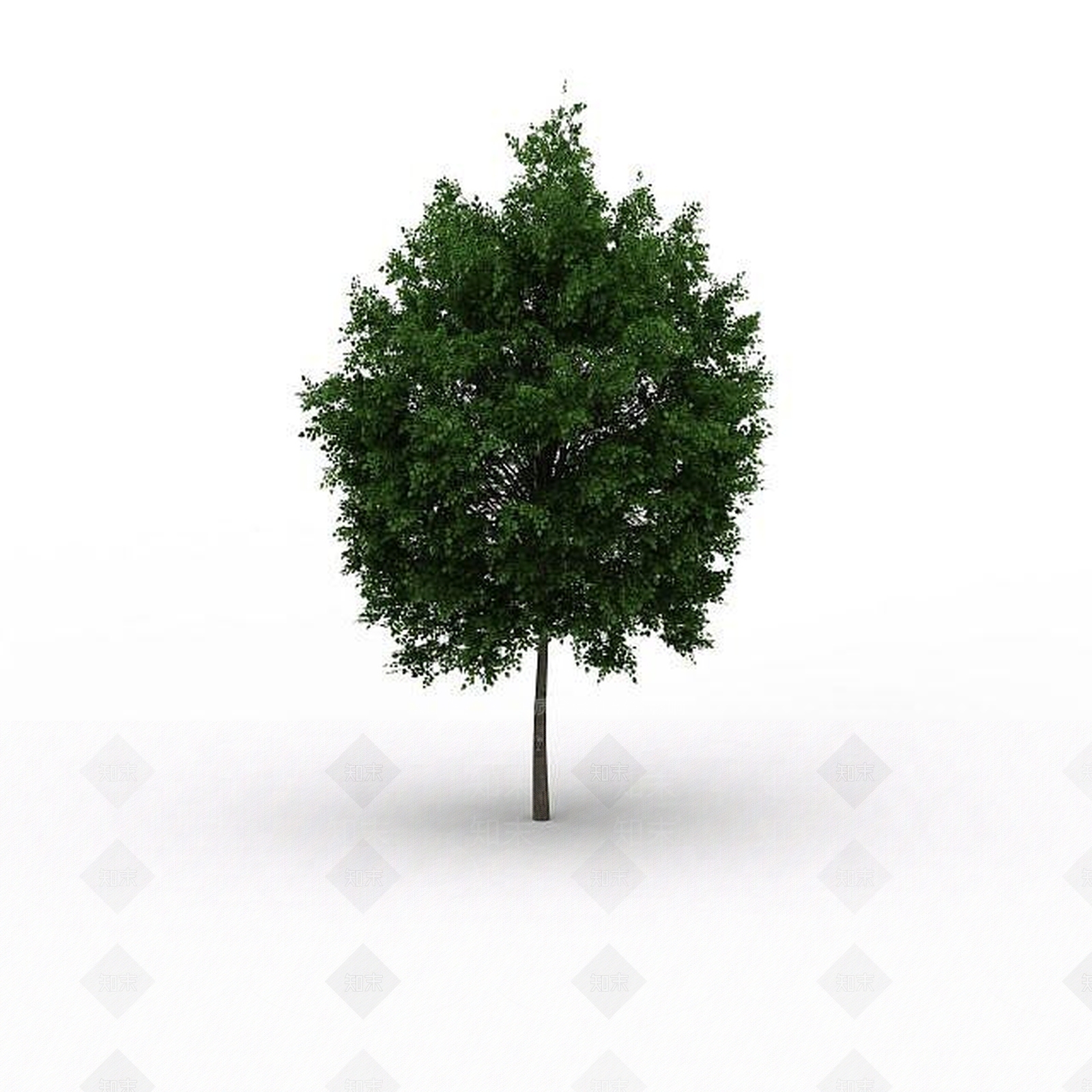 现代景观树3D模型下载【ID:1197654846】