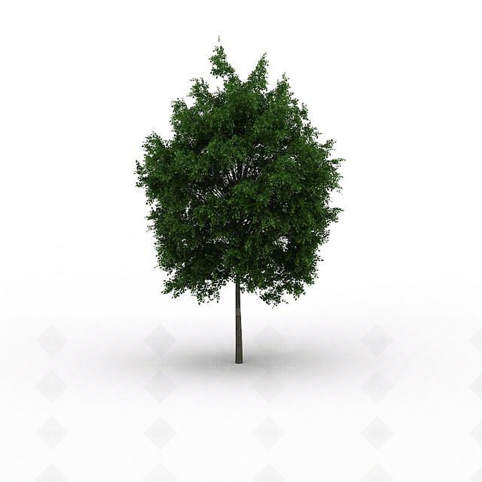 现代景观树3D模型下载【ID:1197654846】