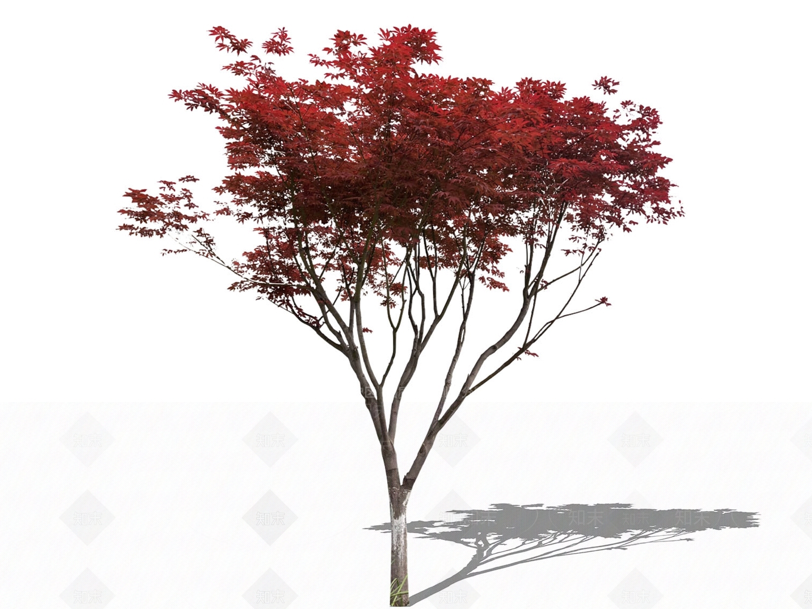 乔木SU模型下载【ID:1197684406】
