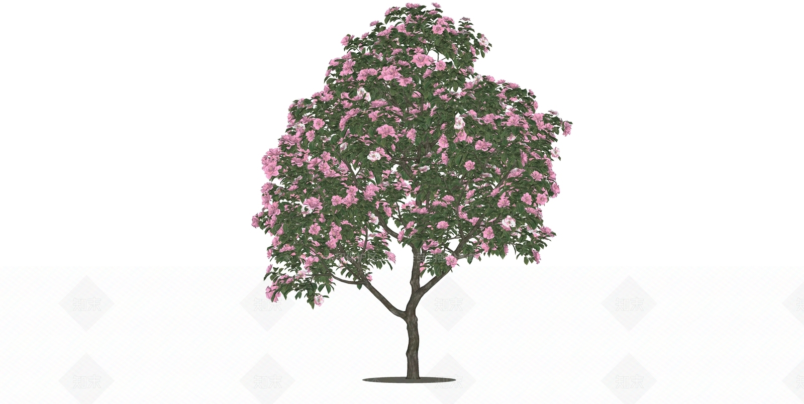 乔木SU模型下载【ID:1197694692】