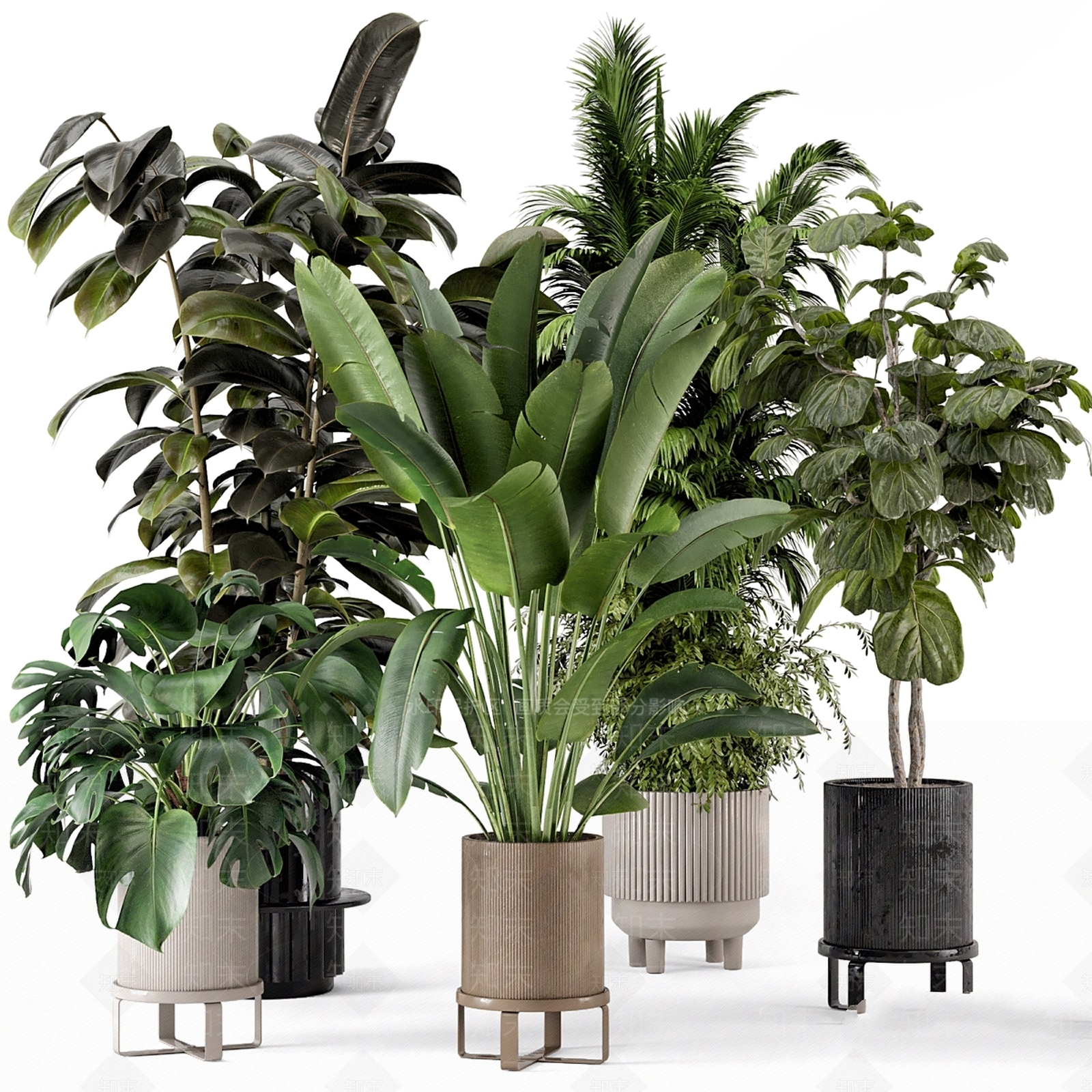 盆栽3D模型下载【ID:1197792710】