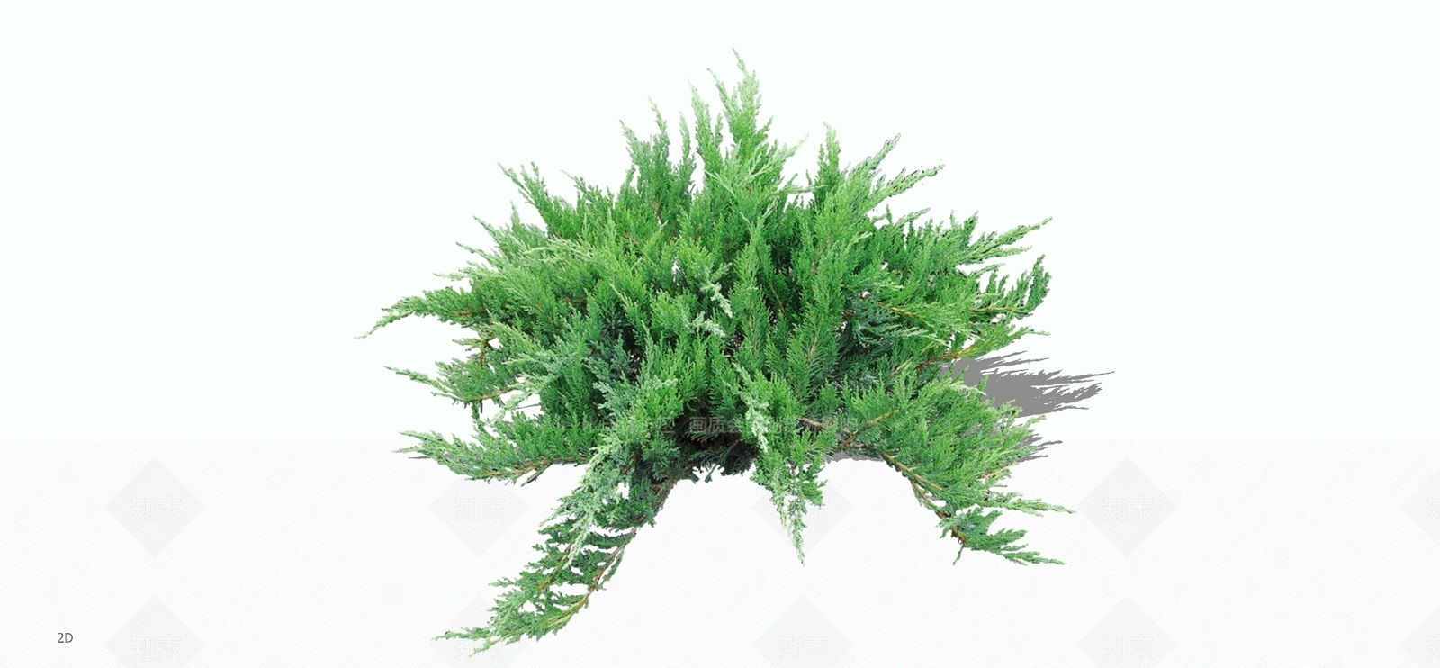 灌木SU模型下载【ID:1197826379】