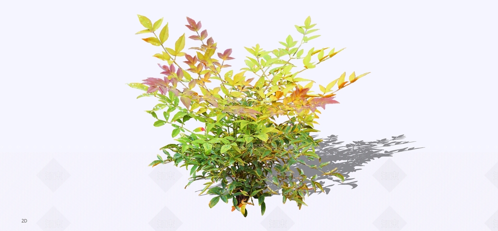 灌木SU模型下载【ID:1197826641】