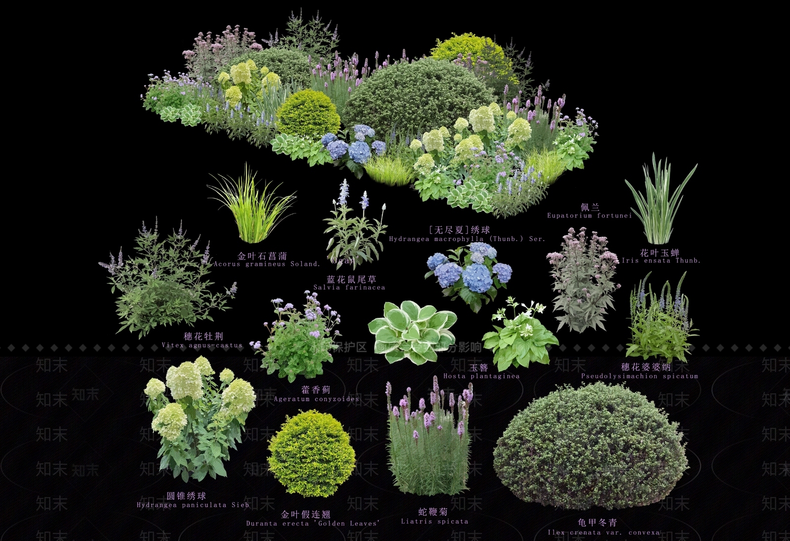 灌木SU模型下载【ID:1197837813】