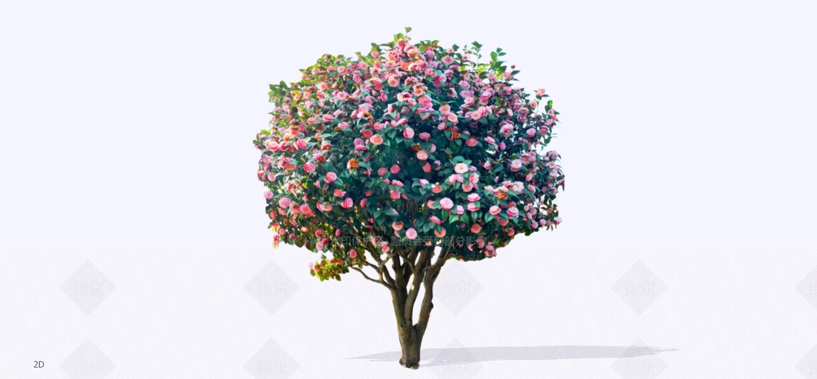 乔木SU模型下载【ID:1197840486】