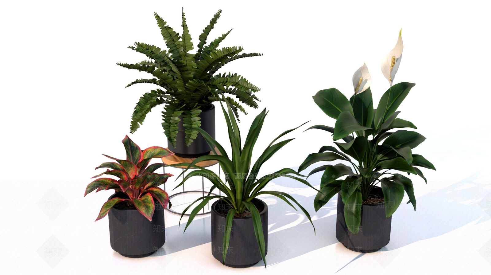 盆栽3D模型下载【ID:1197841241】