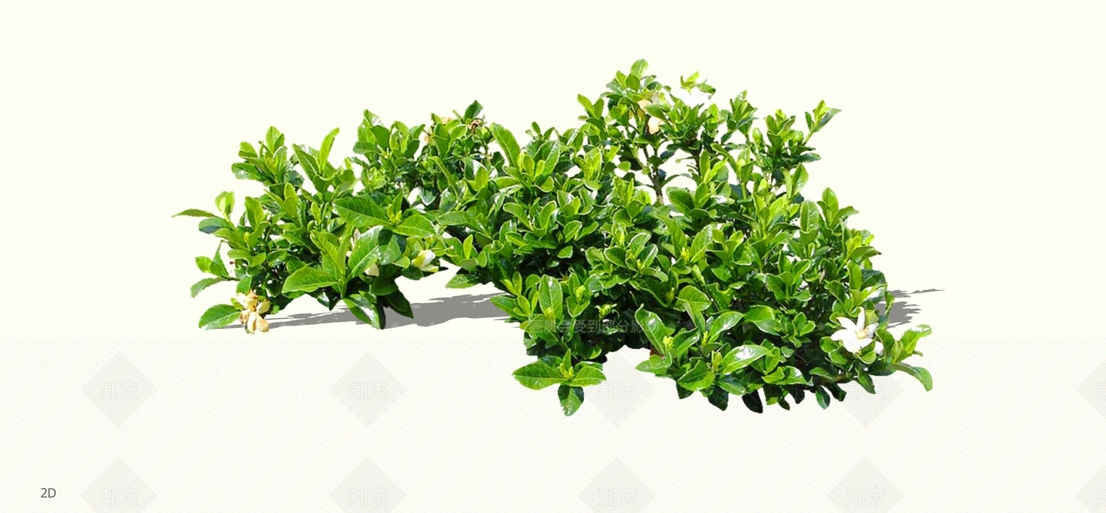 灌木SU模型下载【ID:1197920582】