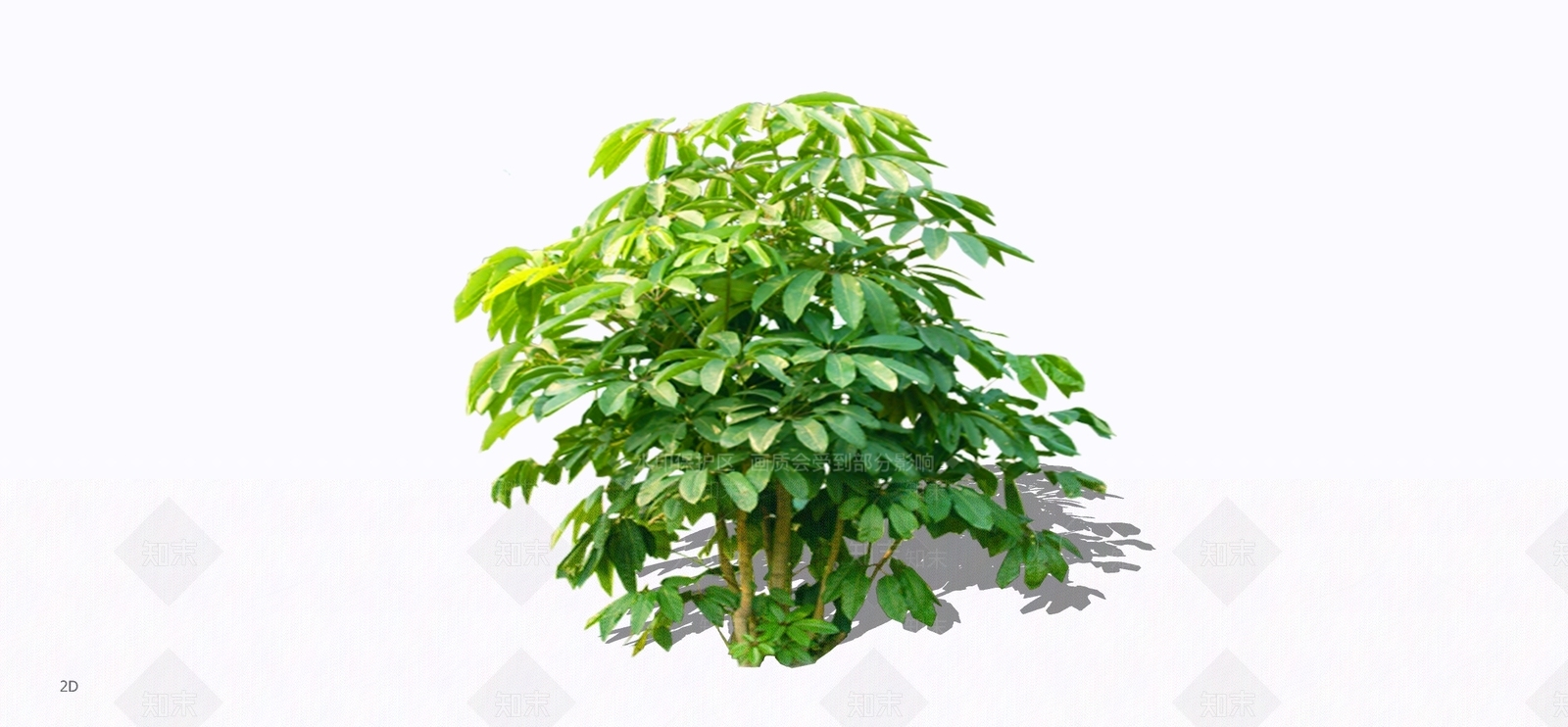 灌木SU模型下载【ID:1197860463】