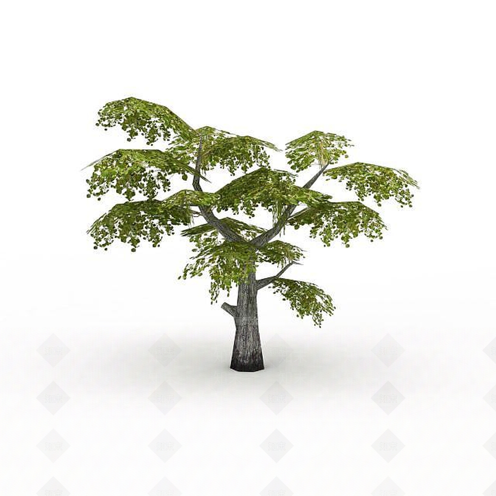 现代景观树3D模型下载【ID:1197863202】