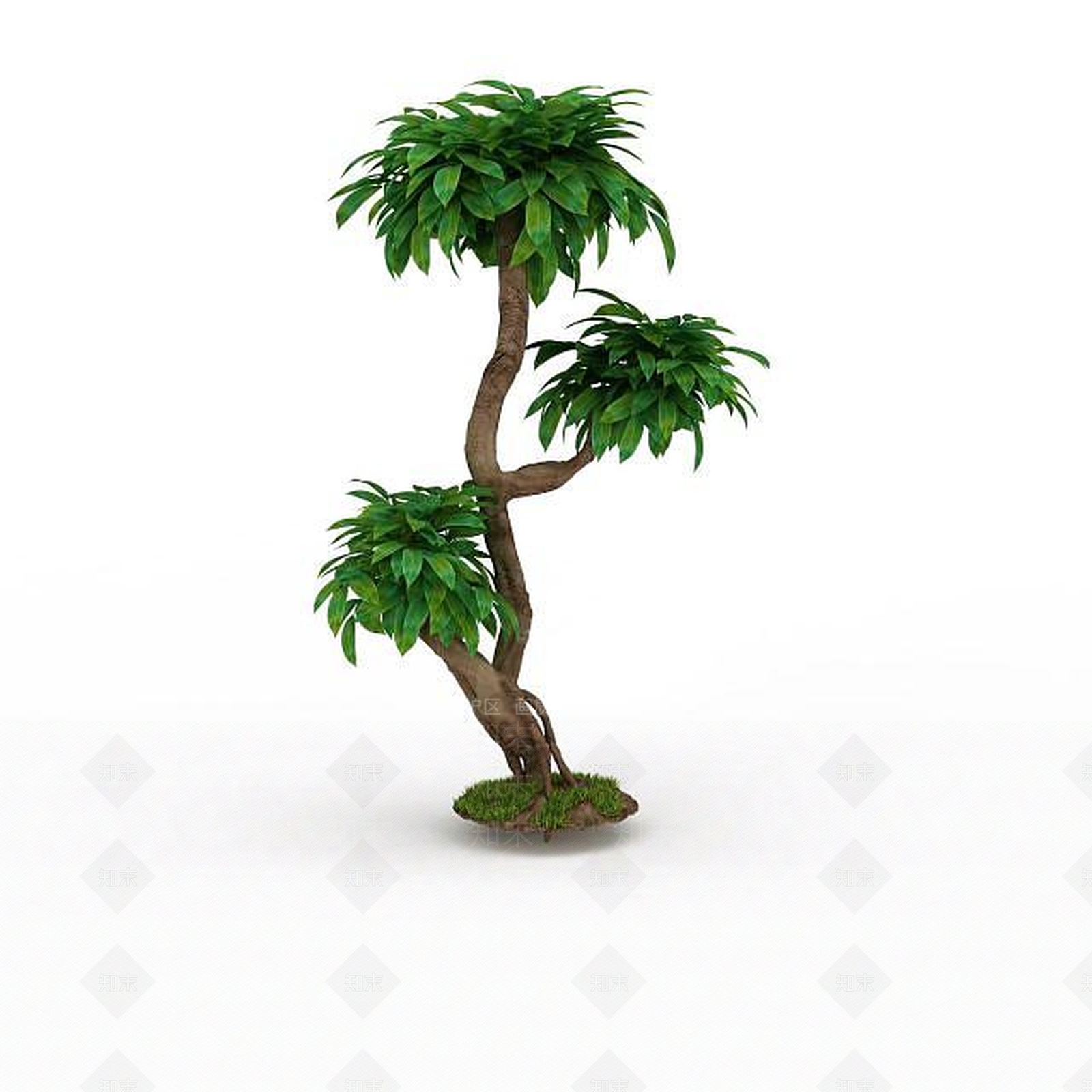 现代公园灌木3D模型下载【ID:1197878459】