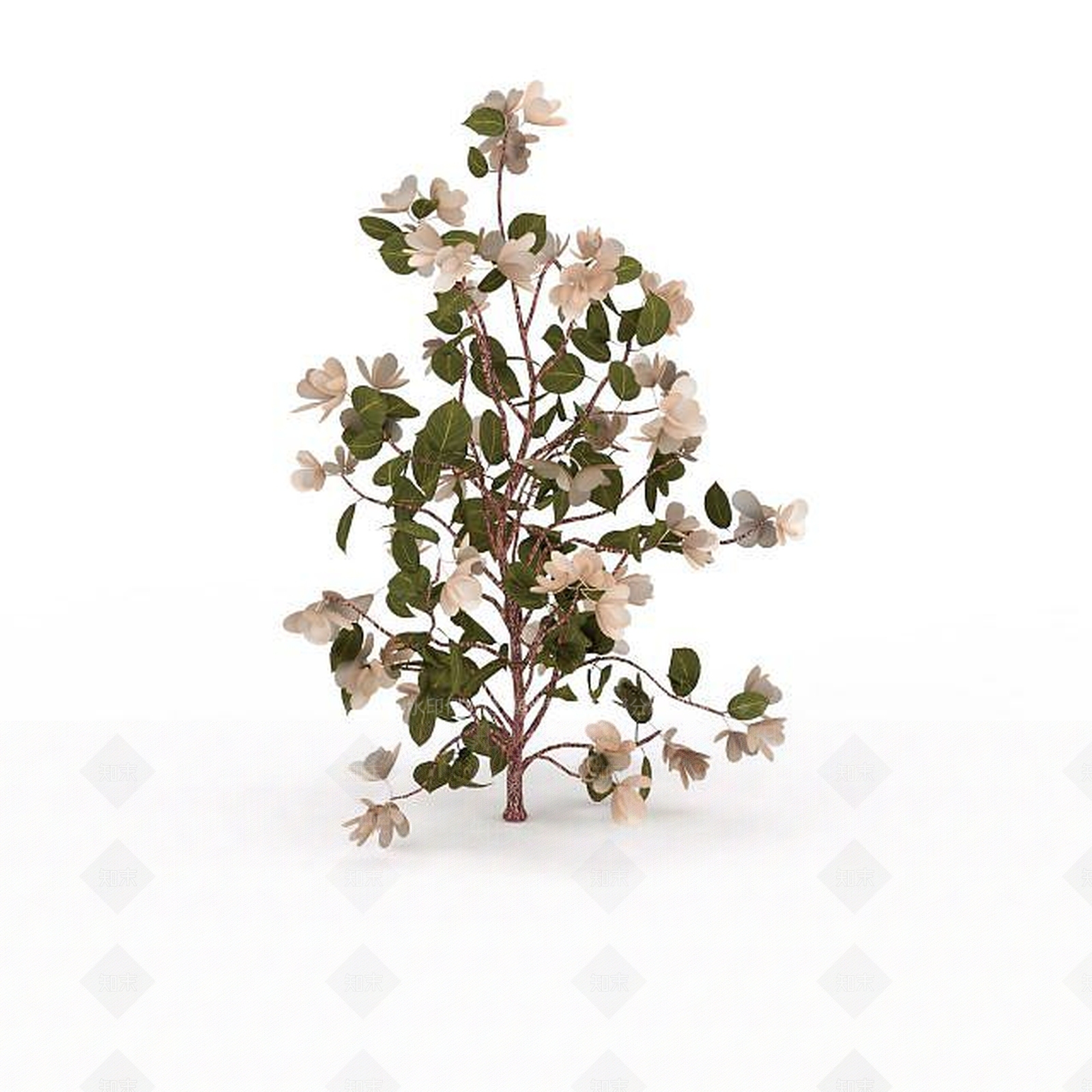 现代装饰花卉3D模型下载【ID:1197878832】