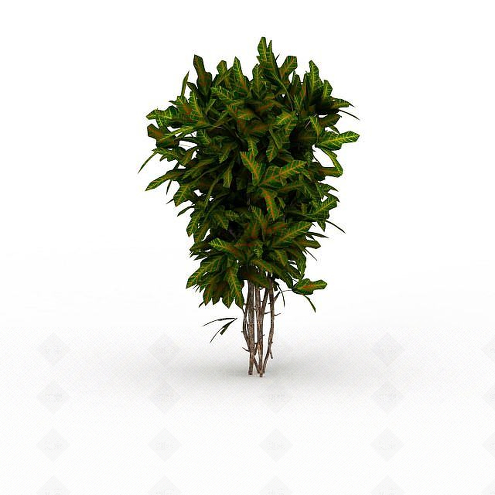 现代灌木绿植3D模型下载【ID:1197879246】
