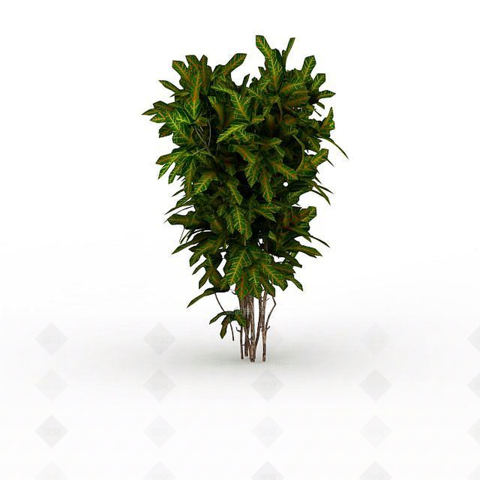 现代灌木绿植3D模型下载【ID:1197879246】