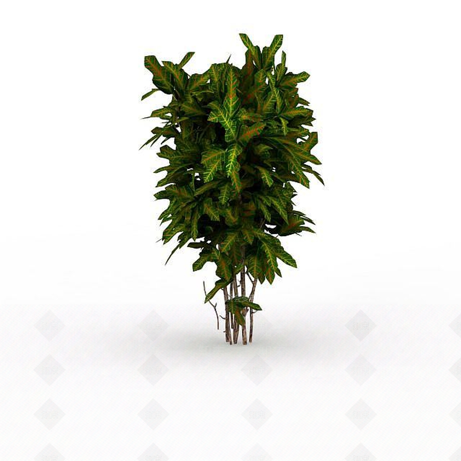 现代灌木绿植3D模型下载【ID:1197879246】
