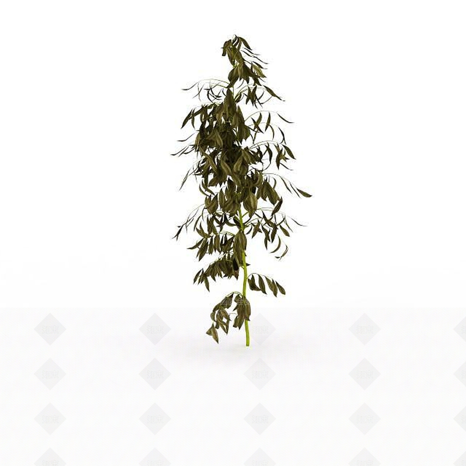 现代绿植灌木3D模型下载【ID:1197879376】