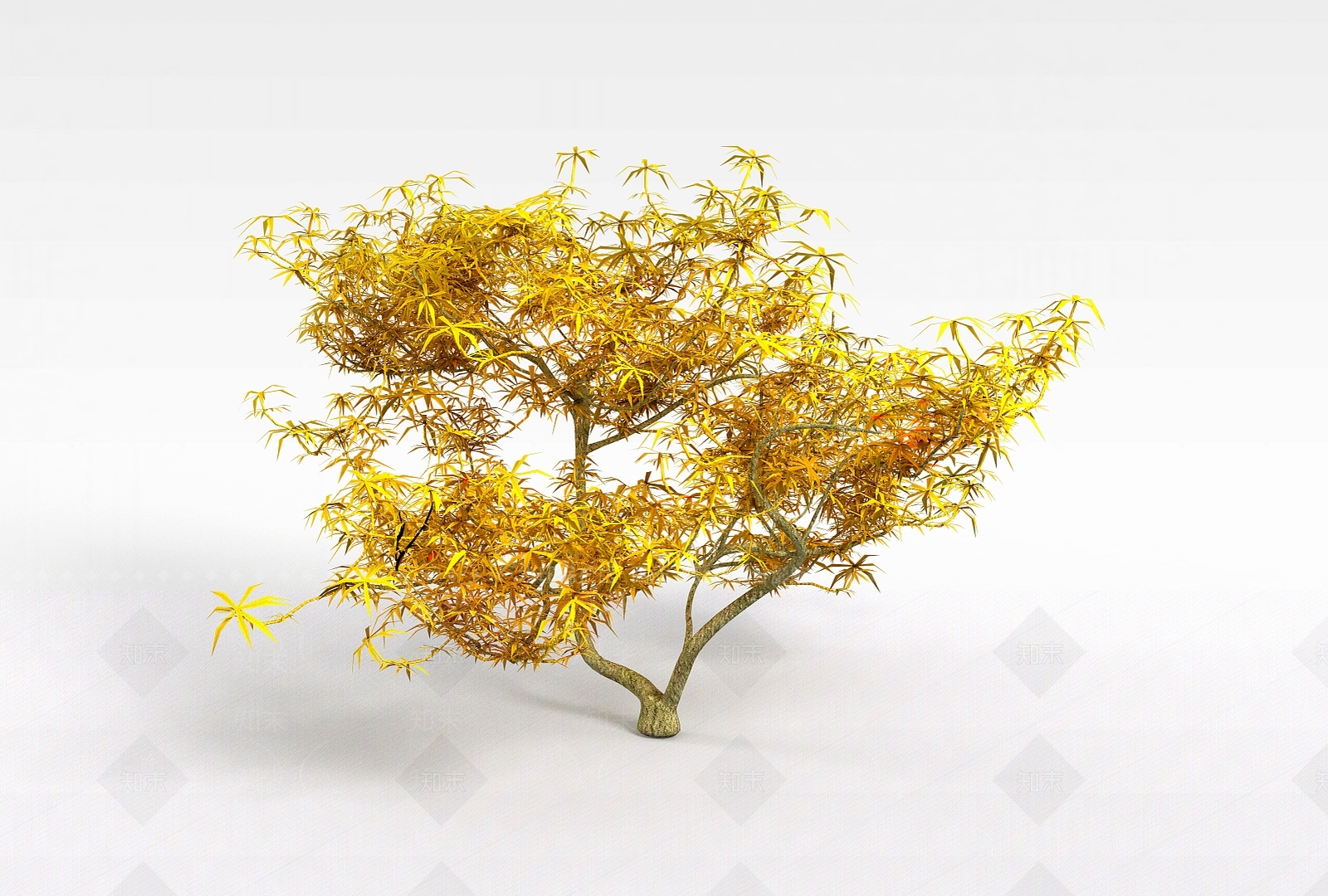 现代景观树3D模型下载【ID:1197879430】