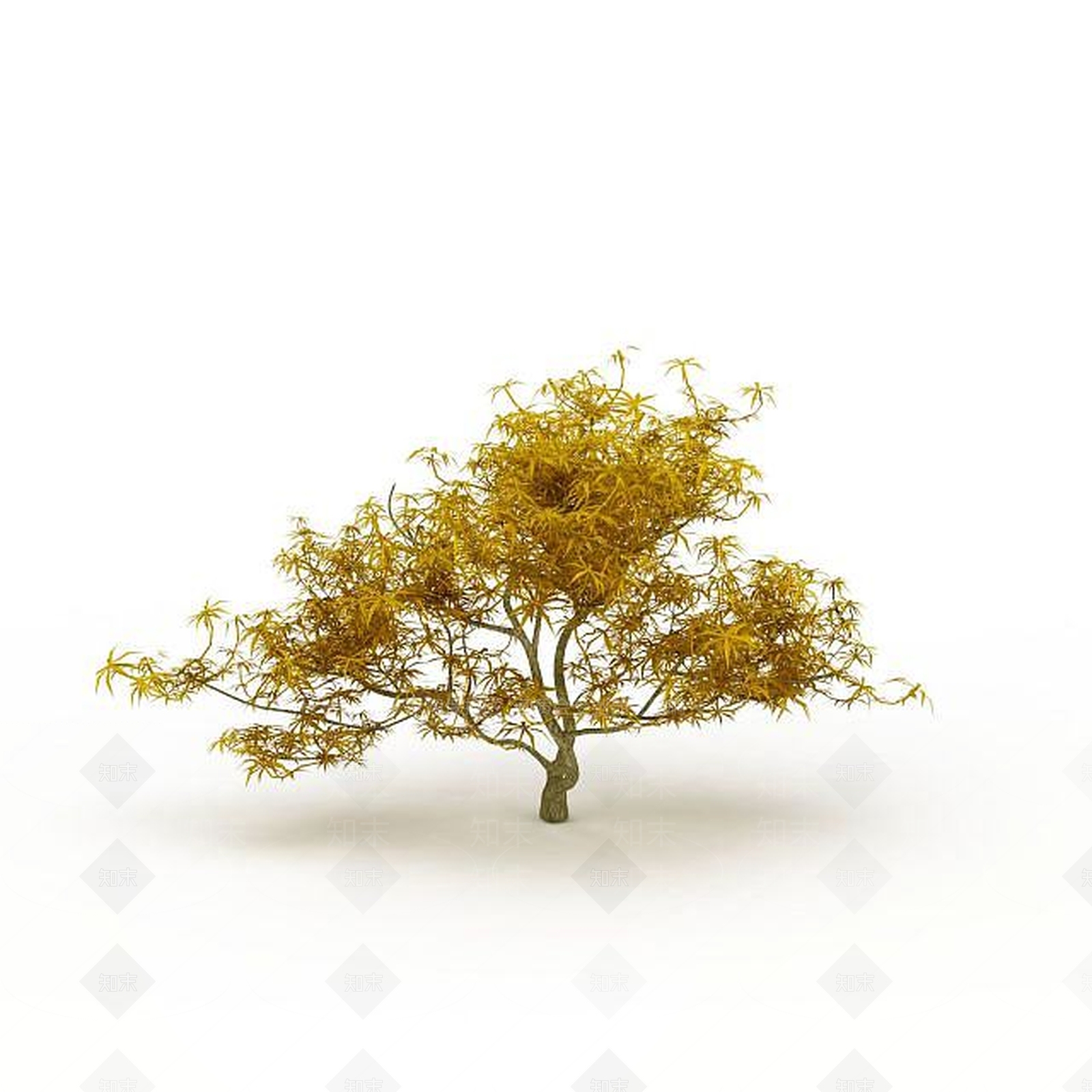 现代景观树3D模型下载【ID:1197879430】