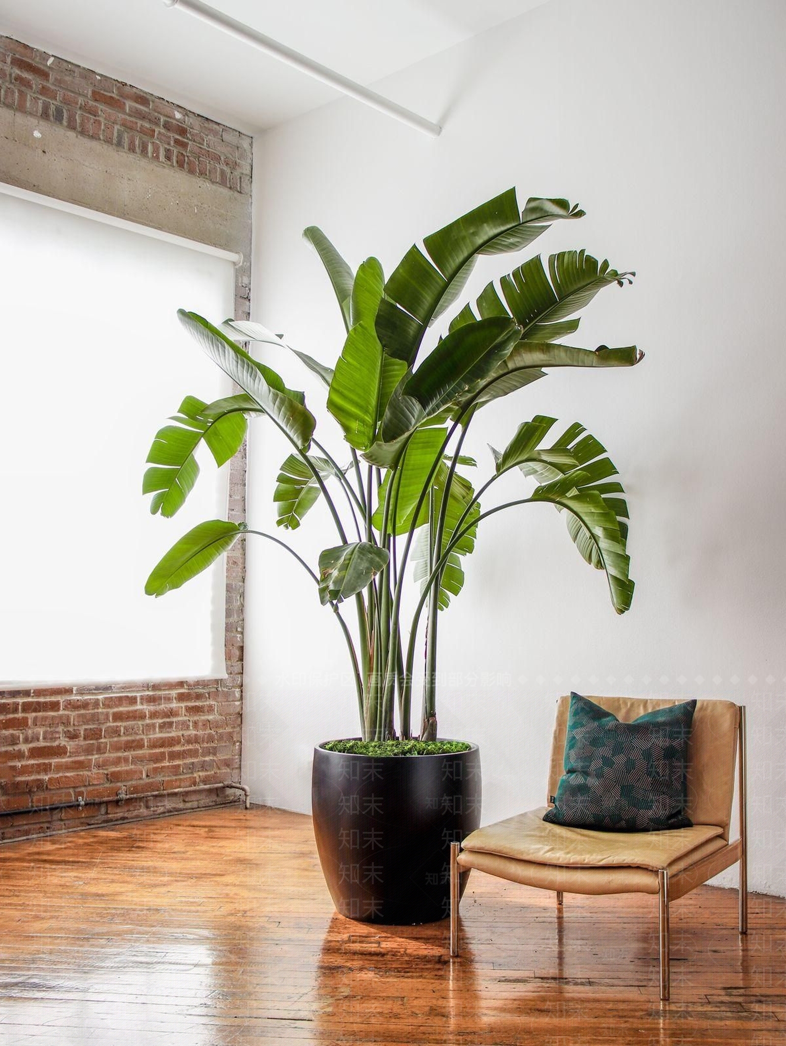 盆栽3D模型下载【ID:1197879518】