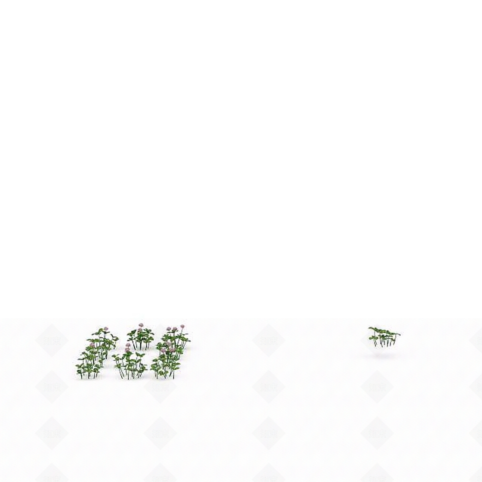 现代荷花3D模型下载【ID:1197879667】