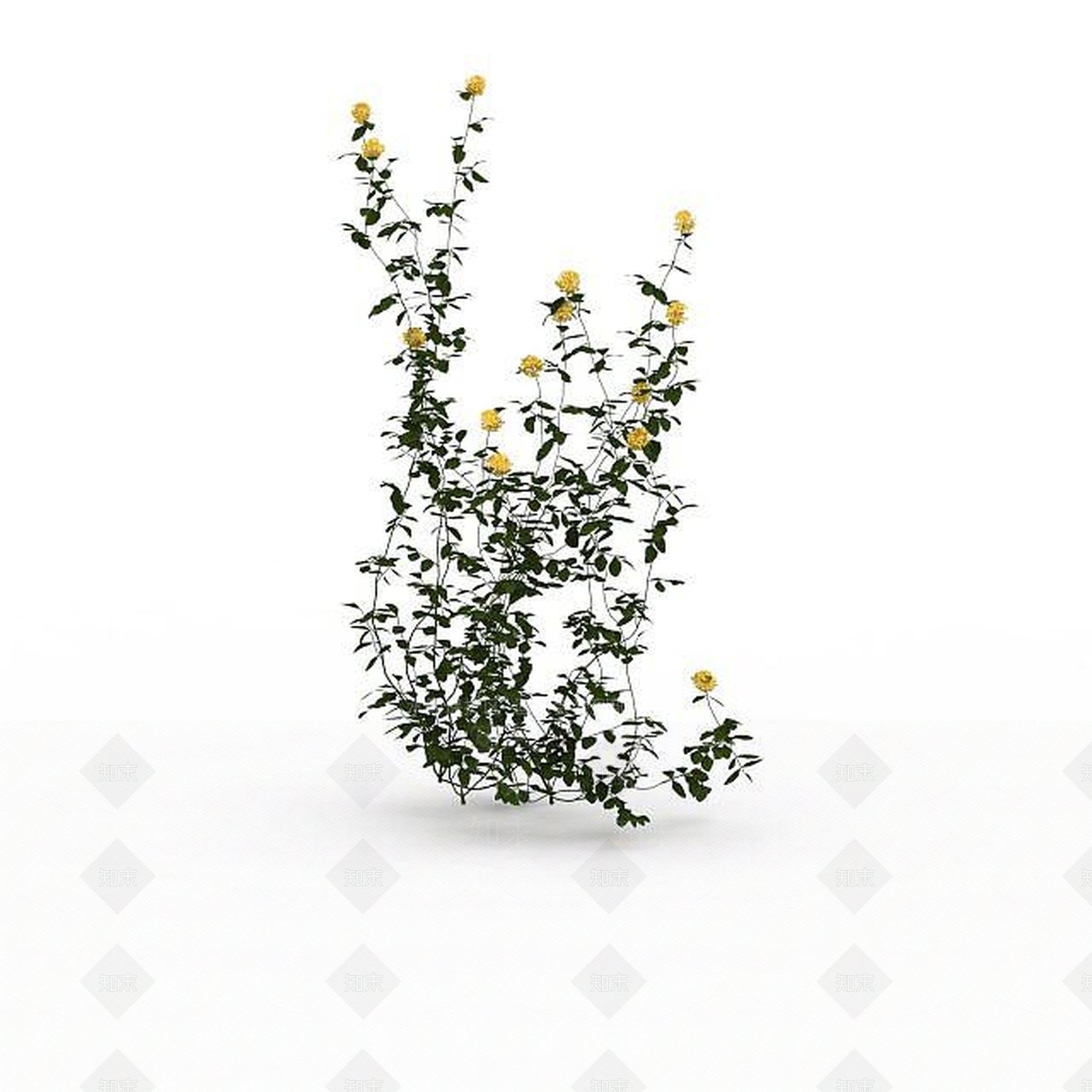 现代开花绿植3D模型下载【ID:1197879881】