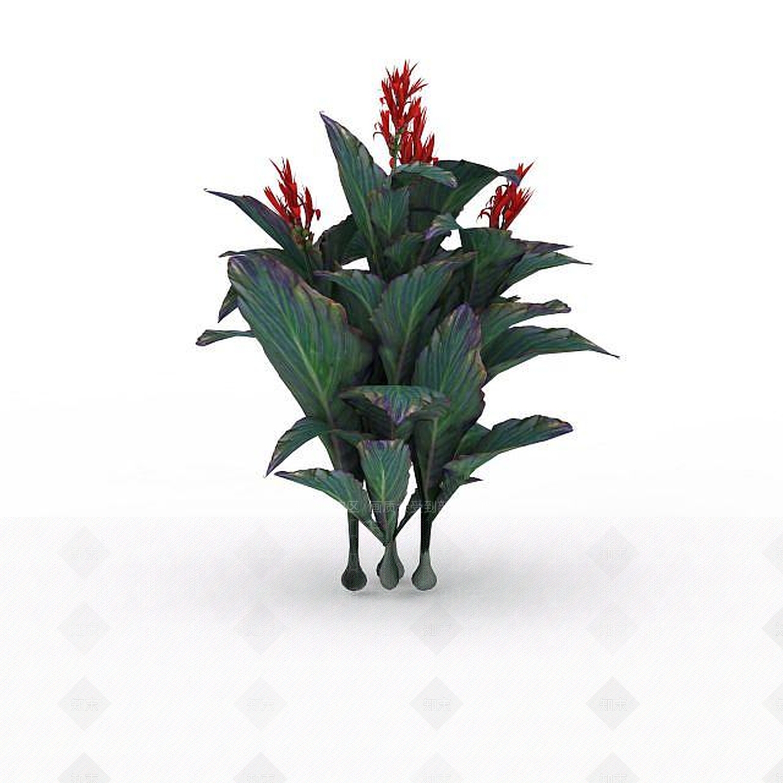 现代美人蕉3D模型下载【ID:1197879877】