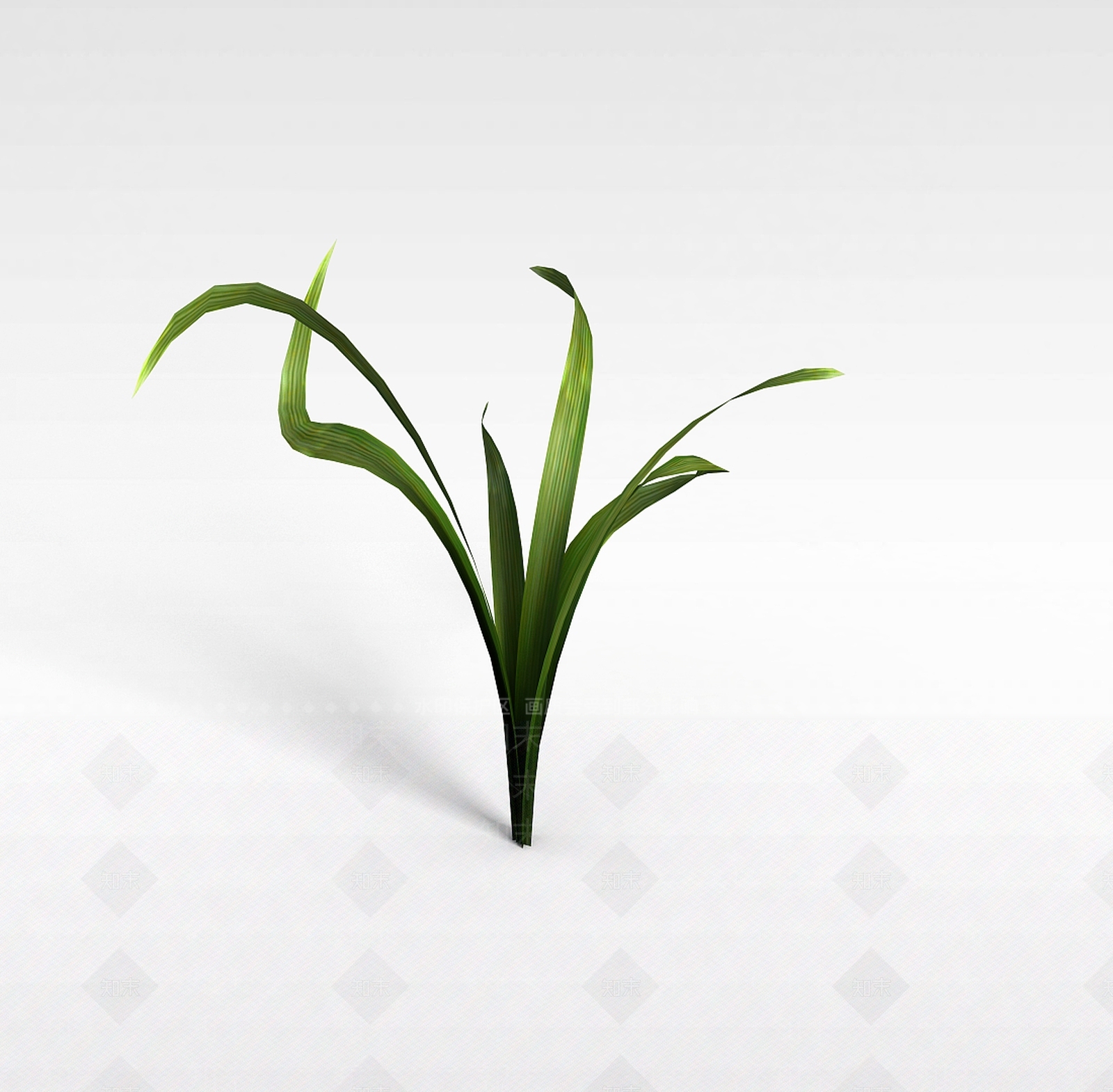 现代兰花3D模型下载【ID:1197879964】