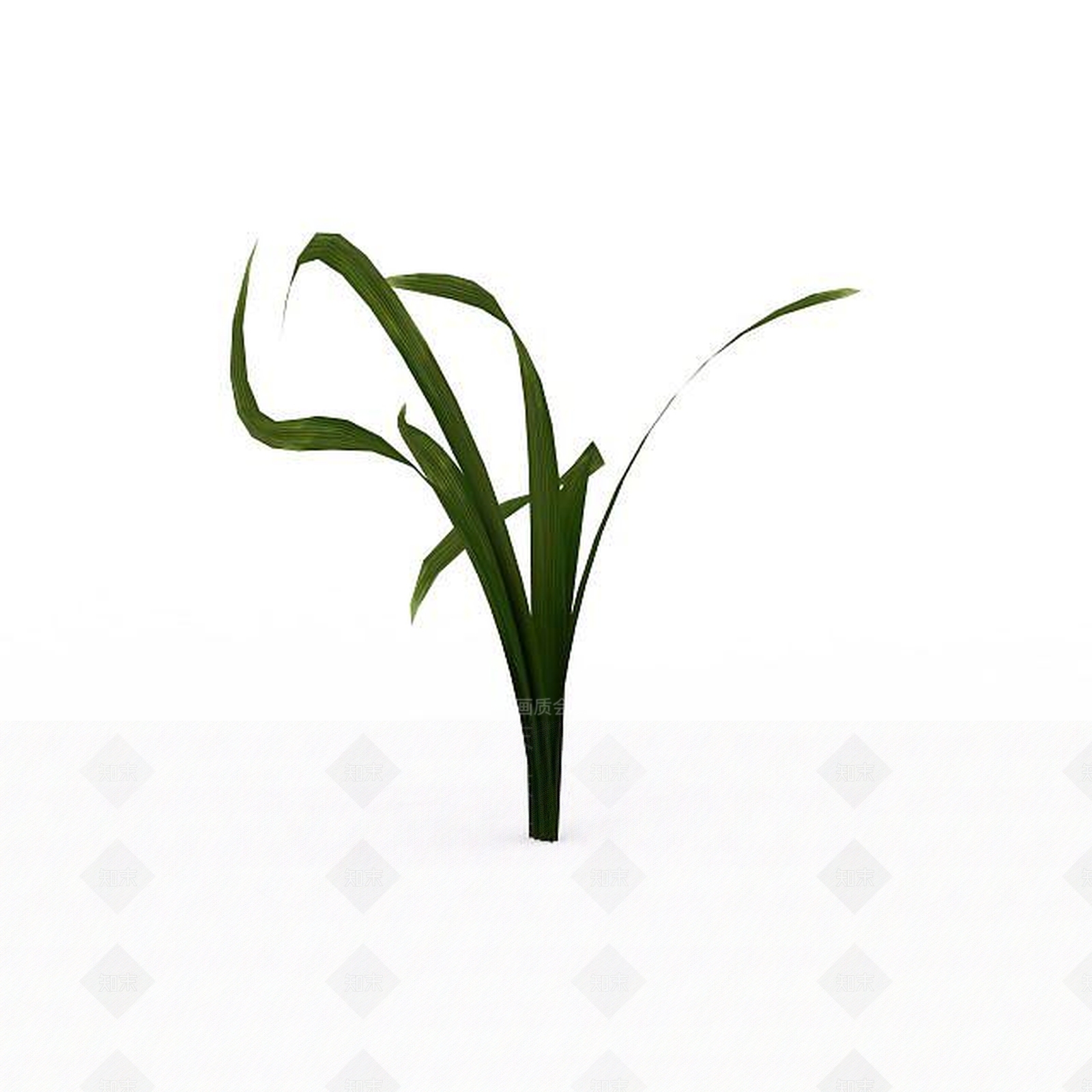 现代兰花3D模型下载【ID:1197879964】