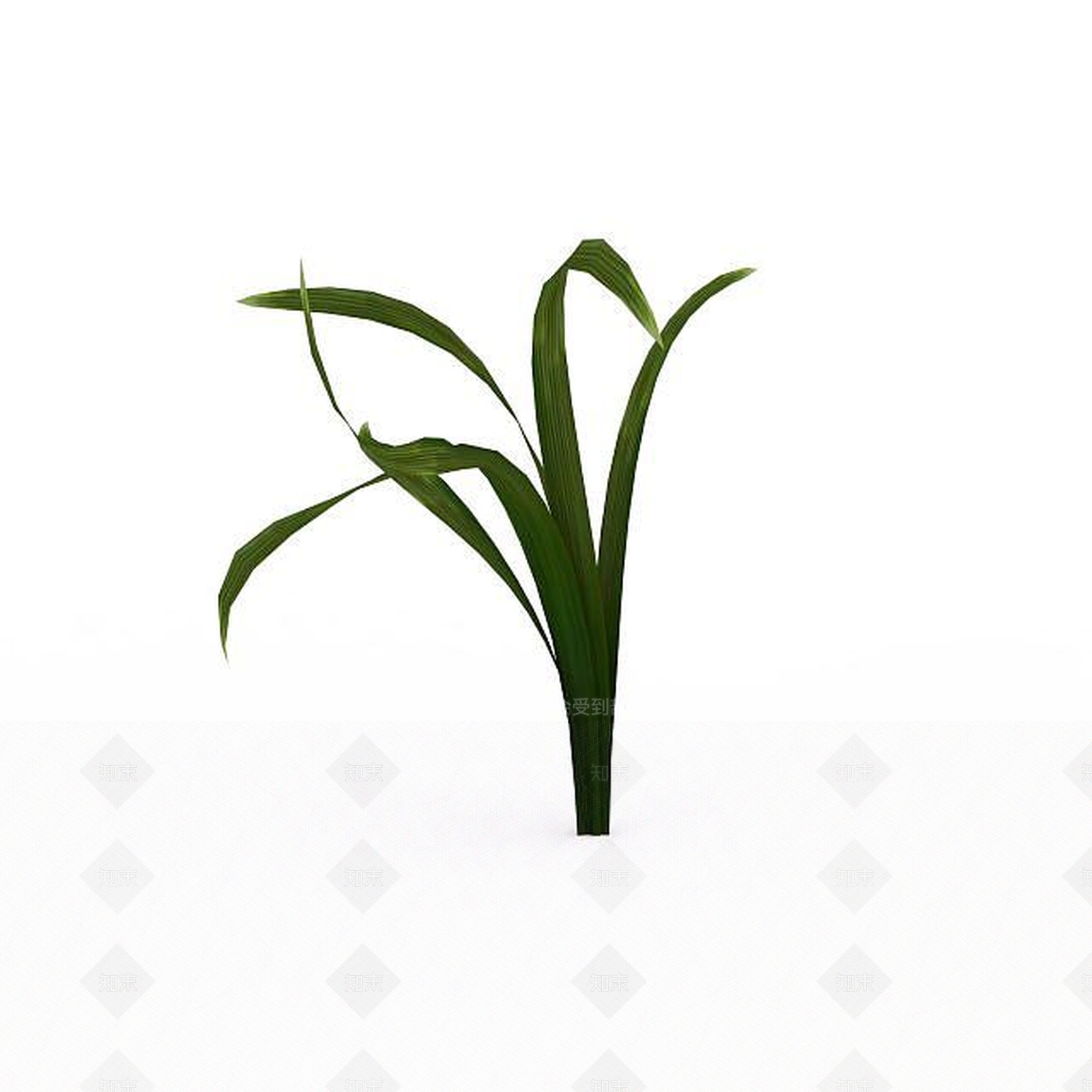 现代兰花3D模型下载【ID:1197879964】
