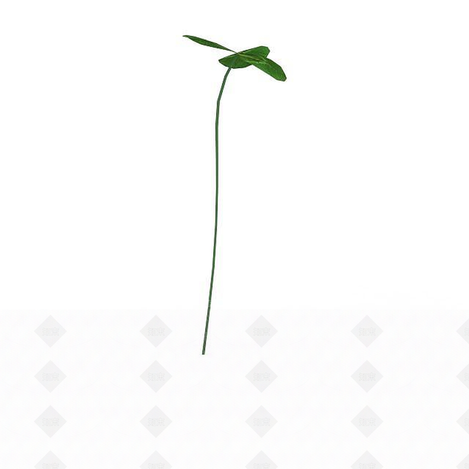 现代三叶草3D模型下载【ID:1197879916】