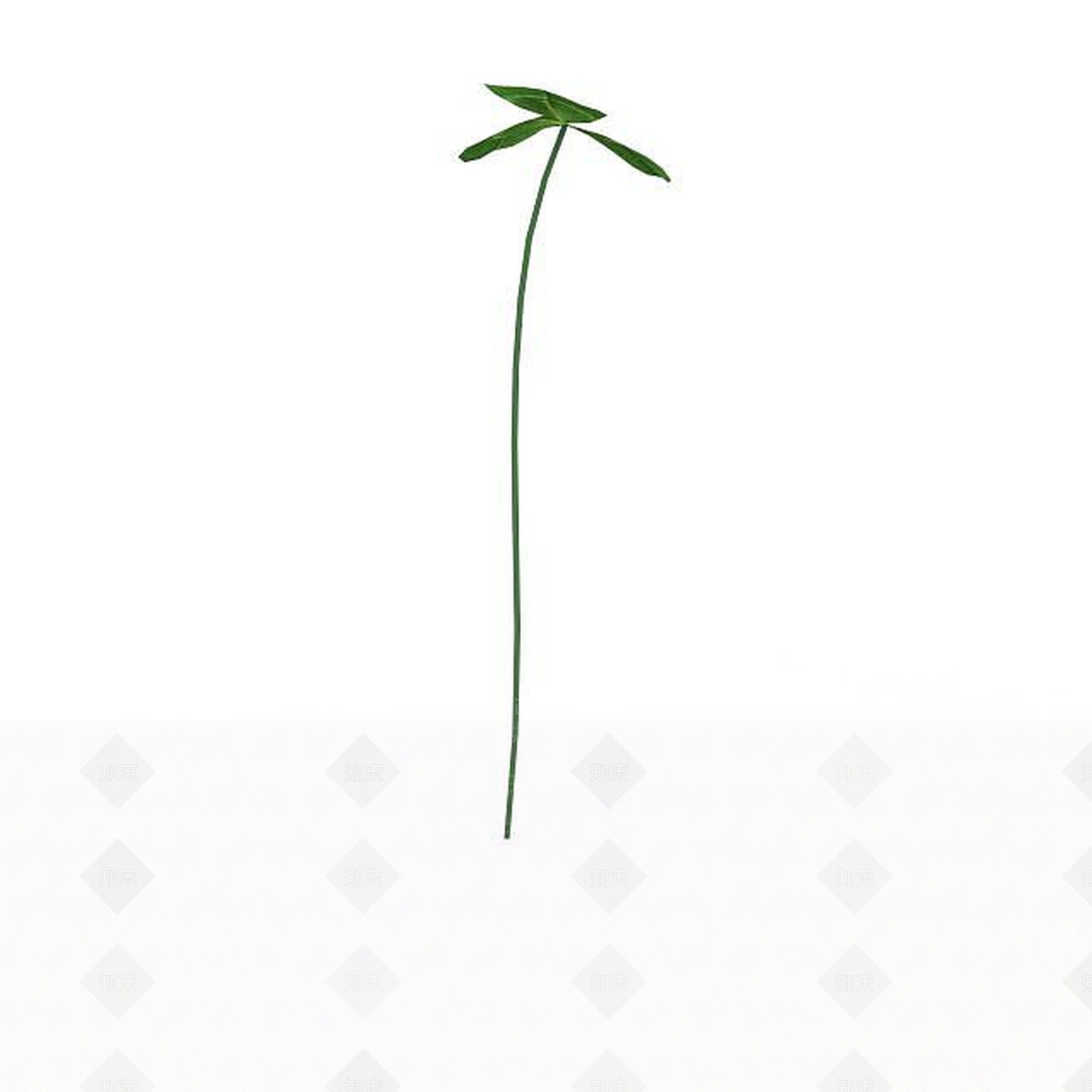 现代三叶草3D模型下载【ID:1197879916】