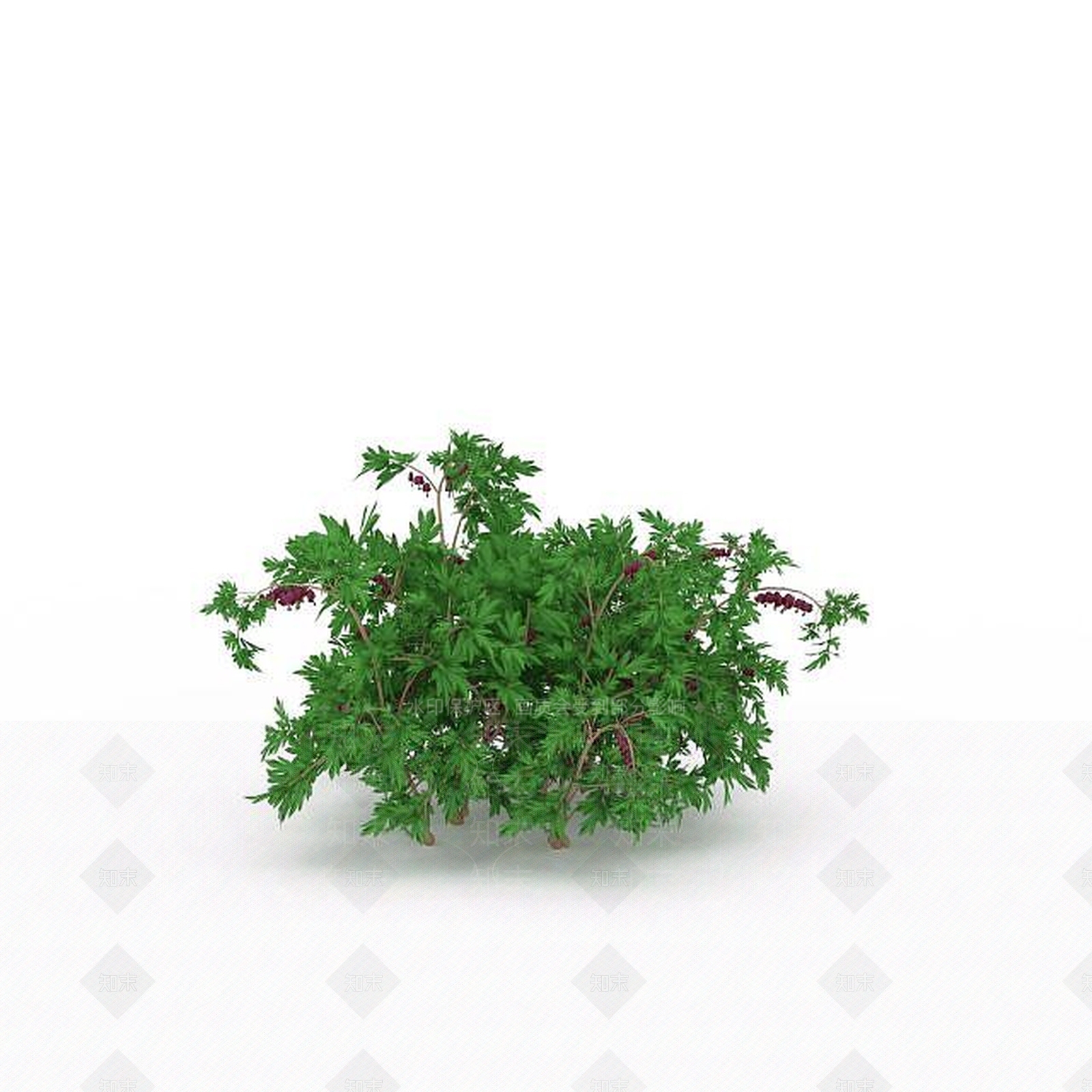 现代开花灌木3D模型下载【ID:1197880039】