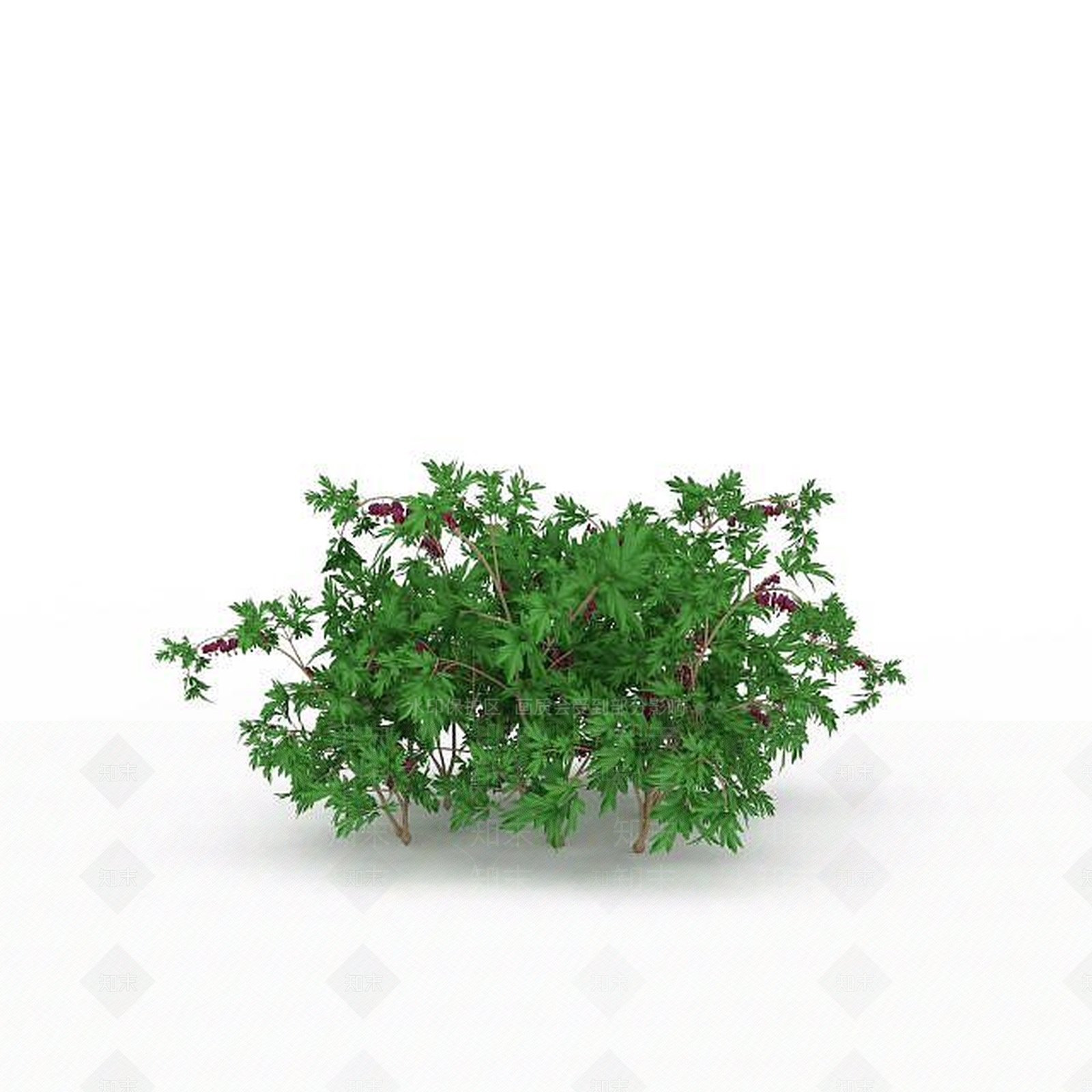 现代开花灌木3D模型下载【ID:1197880039】