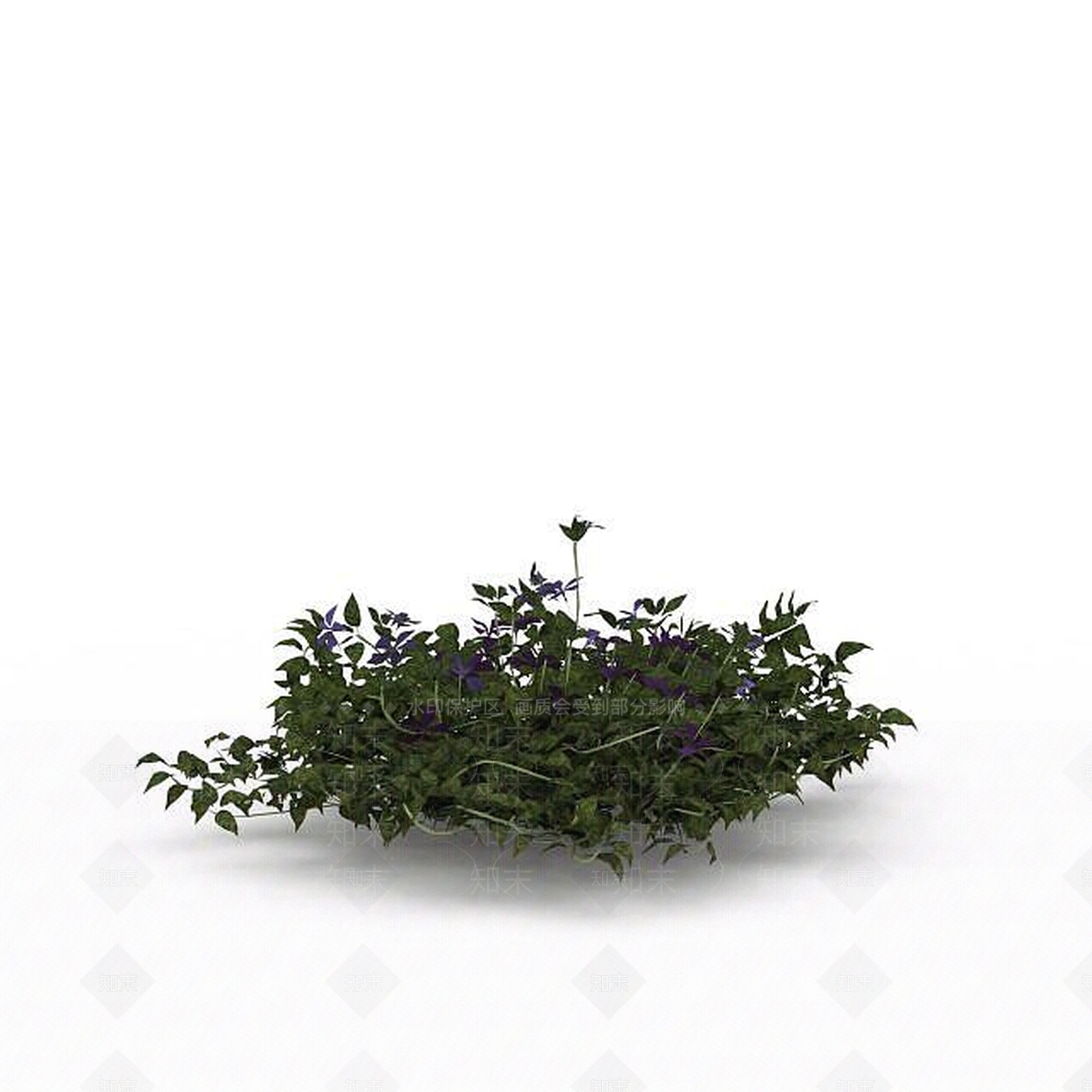 现代蓝铃花3D模型下载【ID:1197880119】