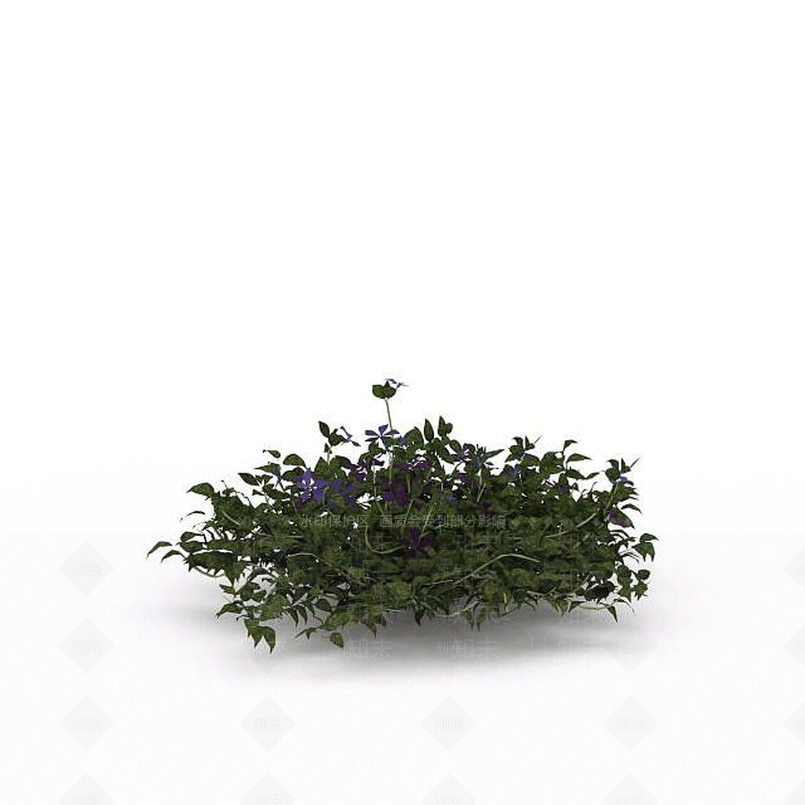 现代蓝铃花3D模型下载【ID:1197880119】