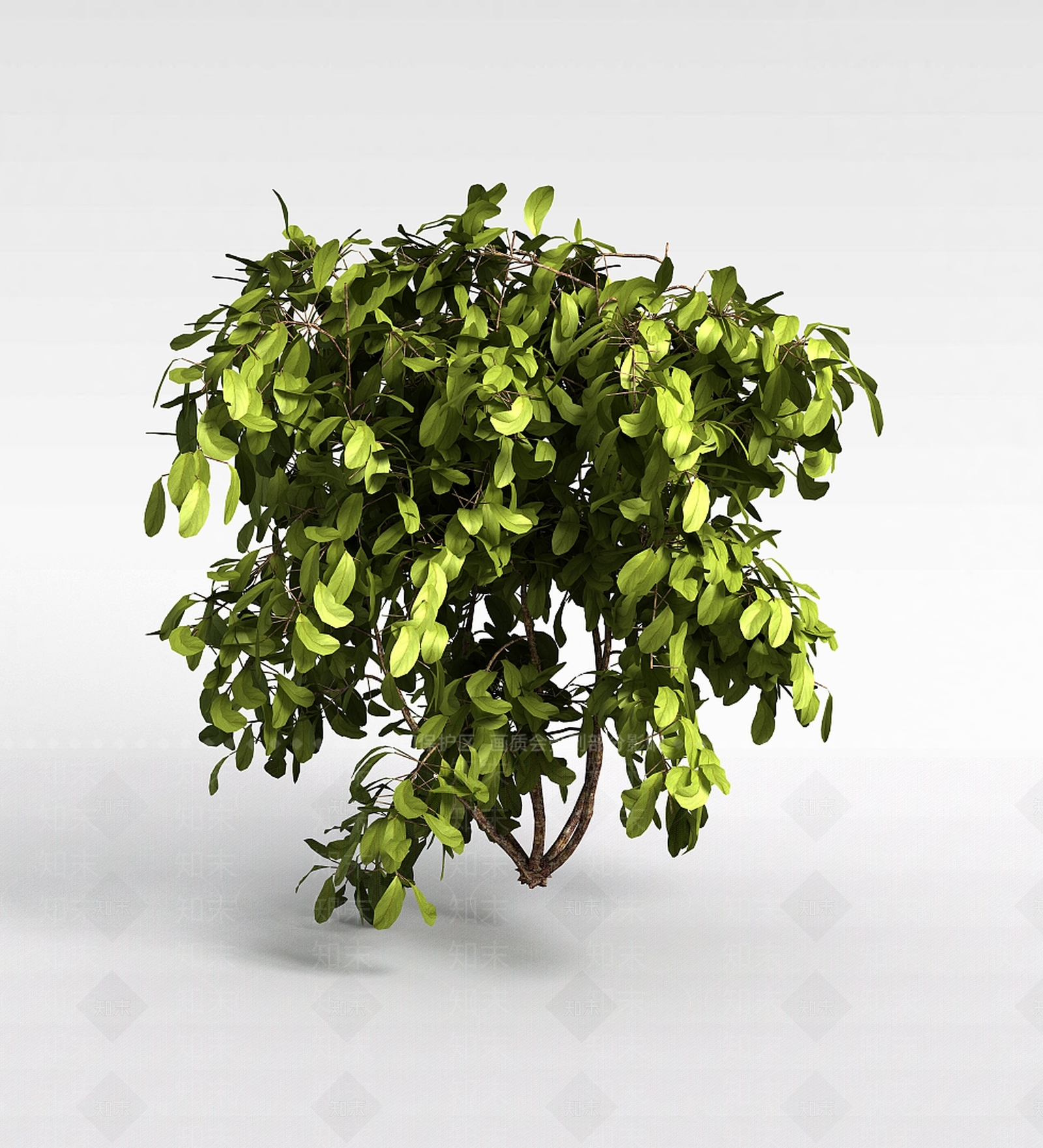 现代园林绿化树3D模型下载【ID:1197880283】