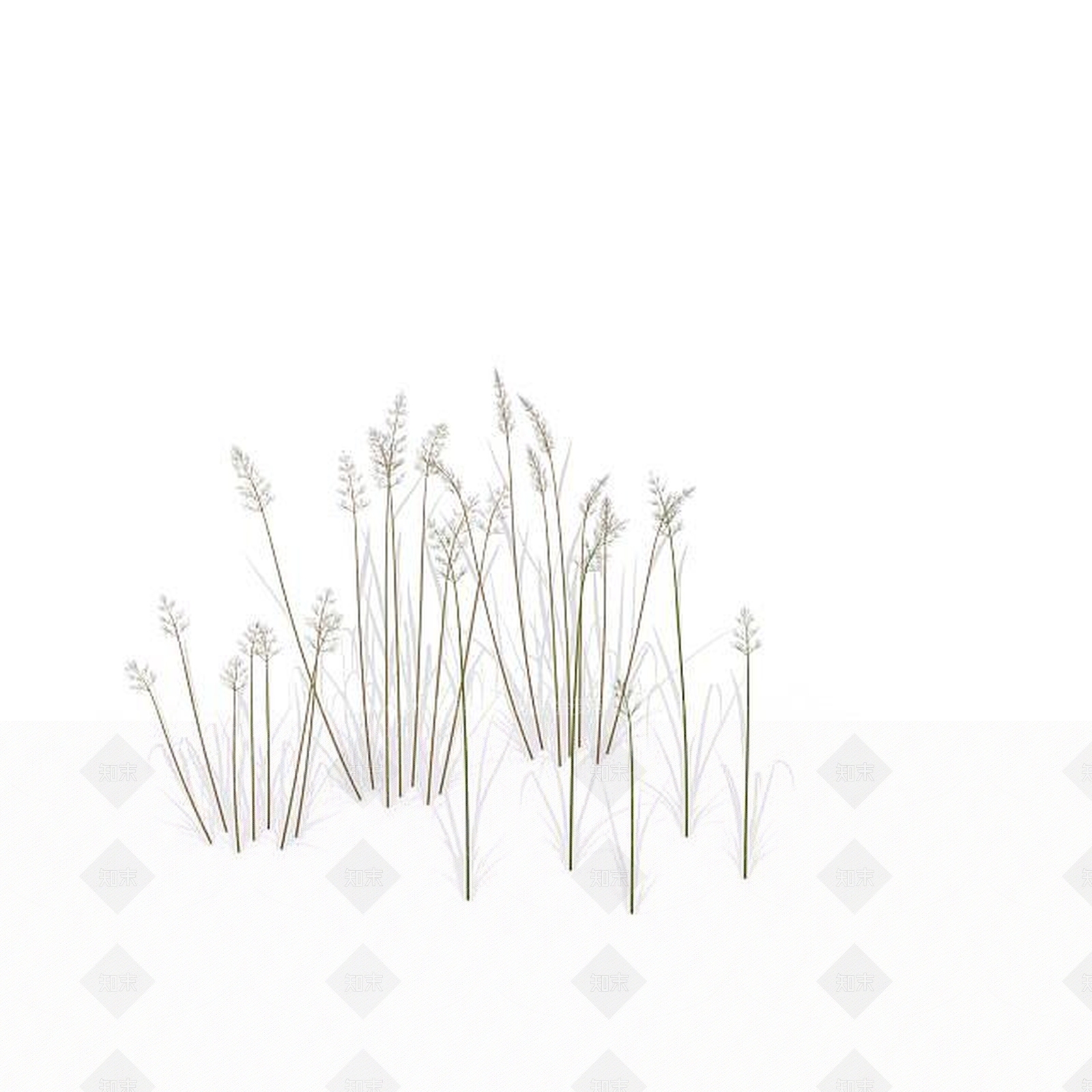 现代芒草3D模型下载【ID:1197880277】