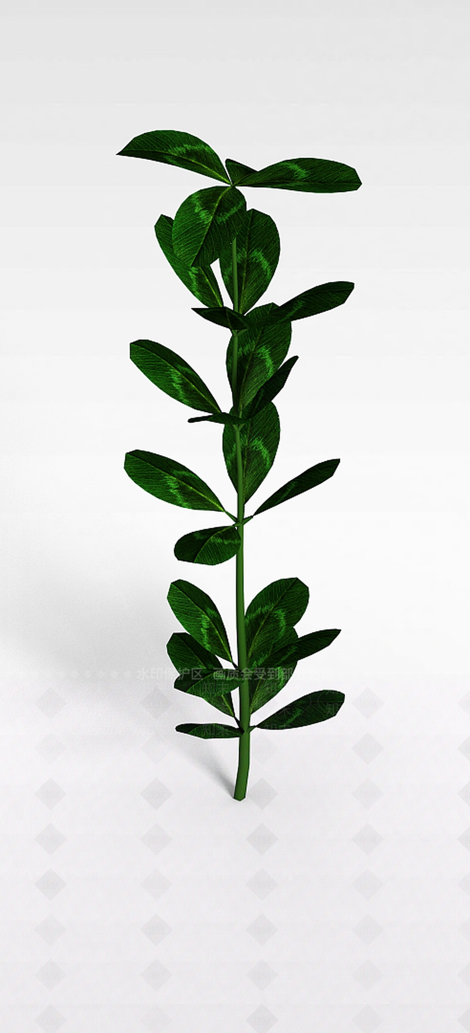 现代绿叶植物3D模型下载【ID:1197880491】