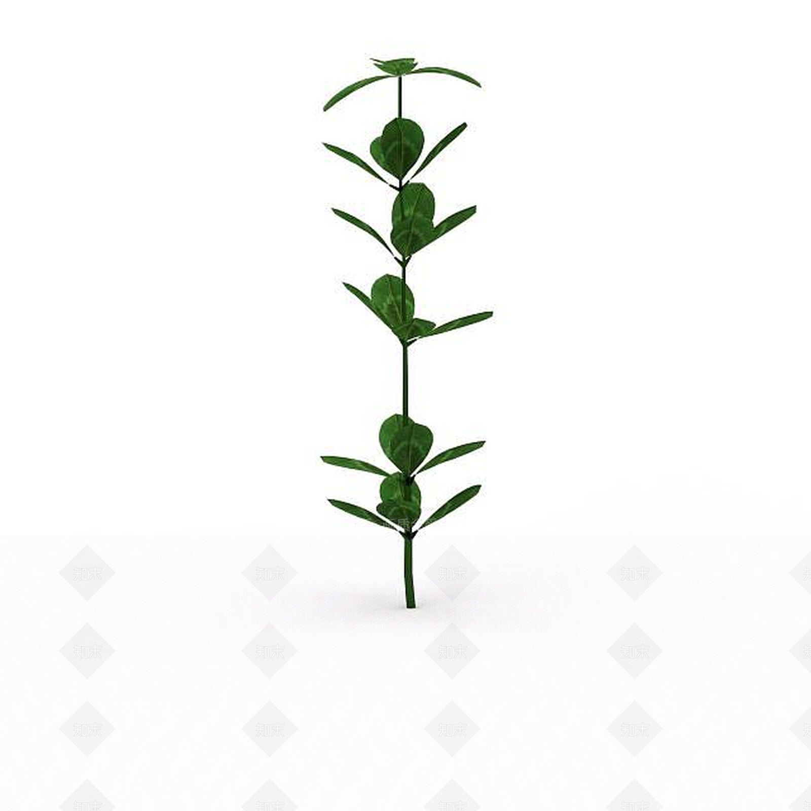 现代绿叶植物3D模型下载【ID:1197880491】