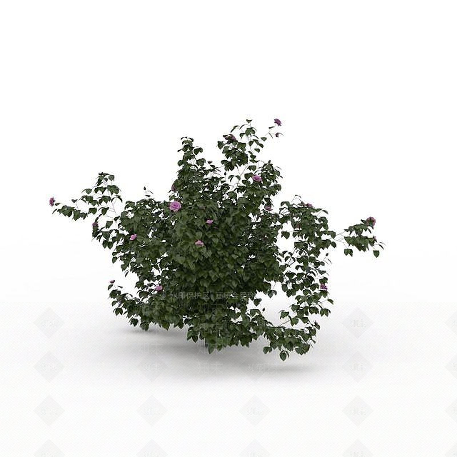 现代芍药花3D模型下载【ID:1197880542】
