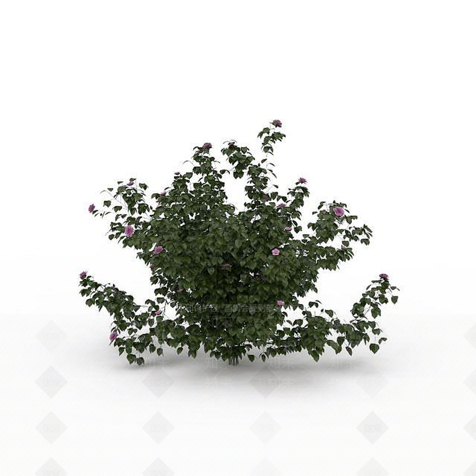 现代芍药花3D模型下载【ID:1197880542】