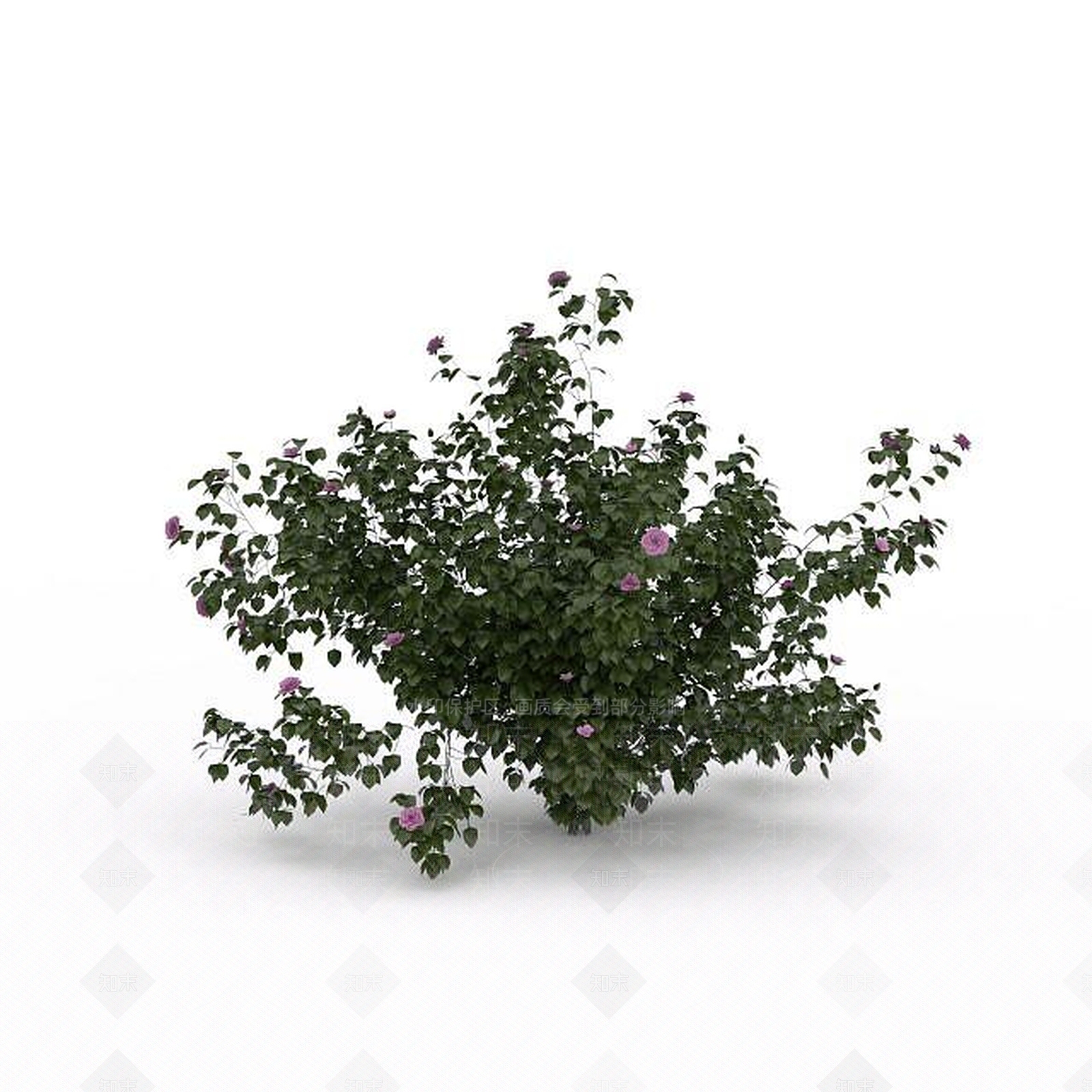 现代芍药花3D模型下载【ID:1197880542】