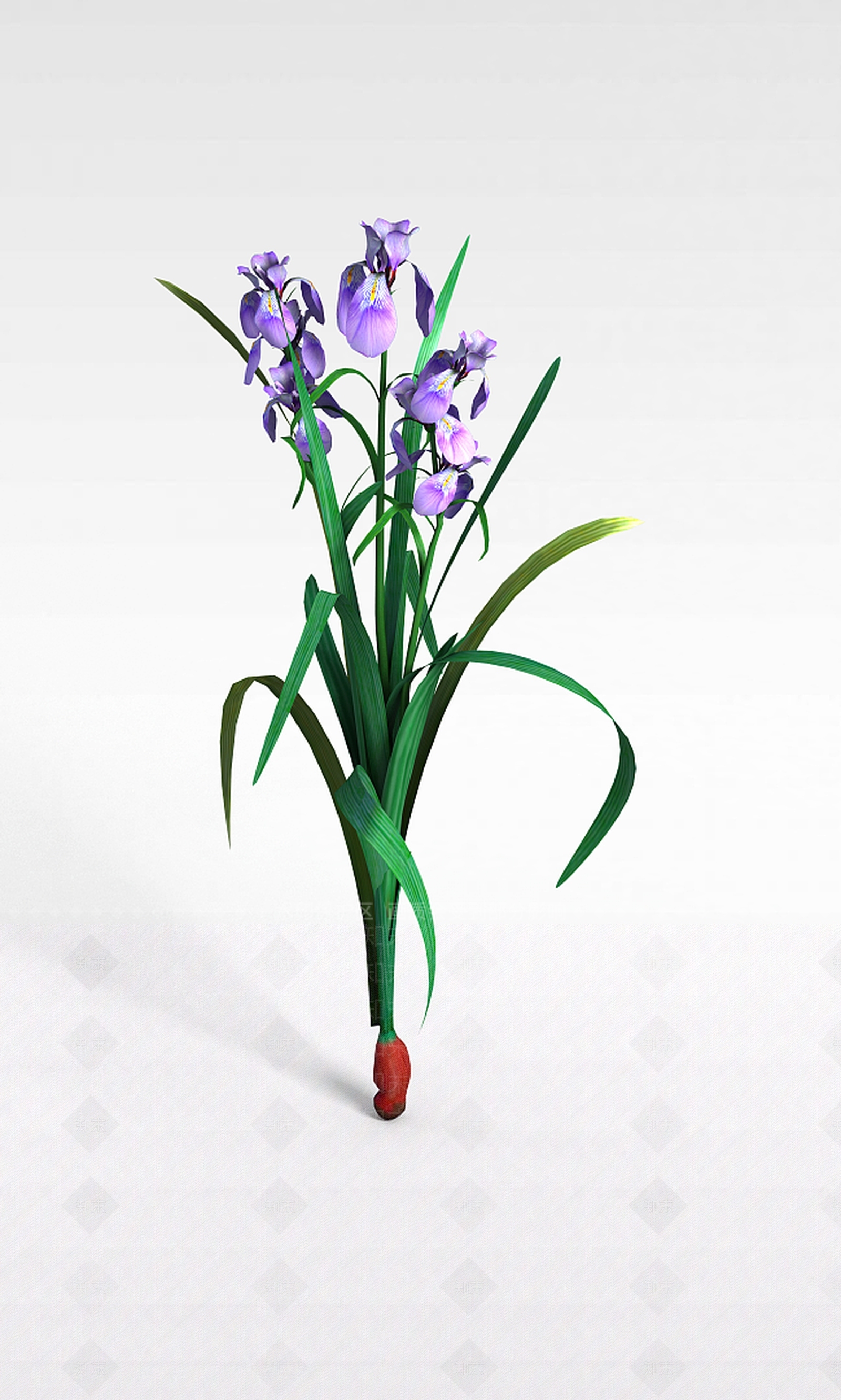 现代兰花3D模型下载【ID:1197880596】