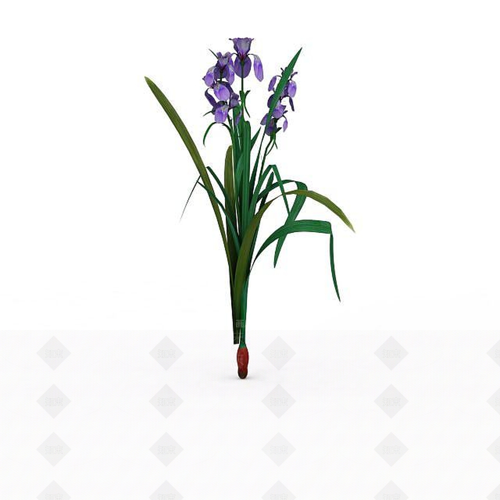 现代兰花3D模型下载【ID:1197880596】
