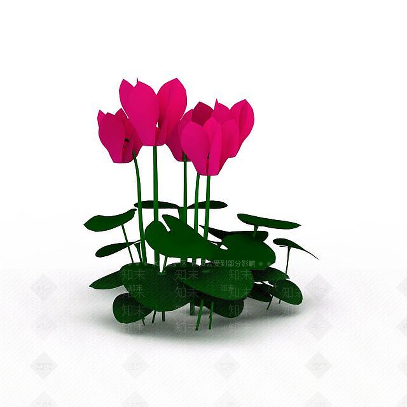 现代花朵鲜花3D模型下载【ID:1197881107】