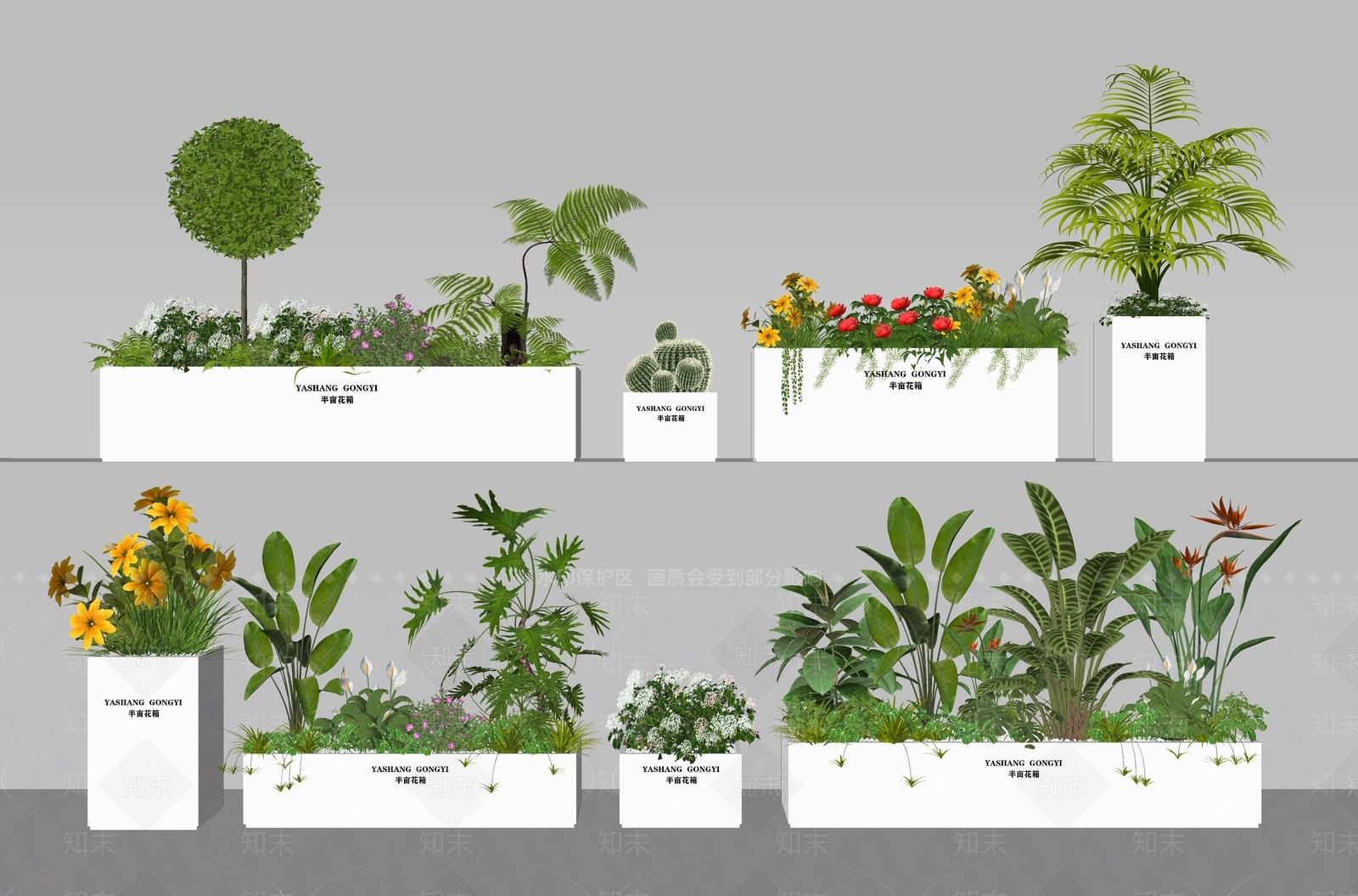花草SU模型草图