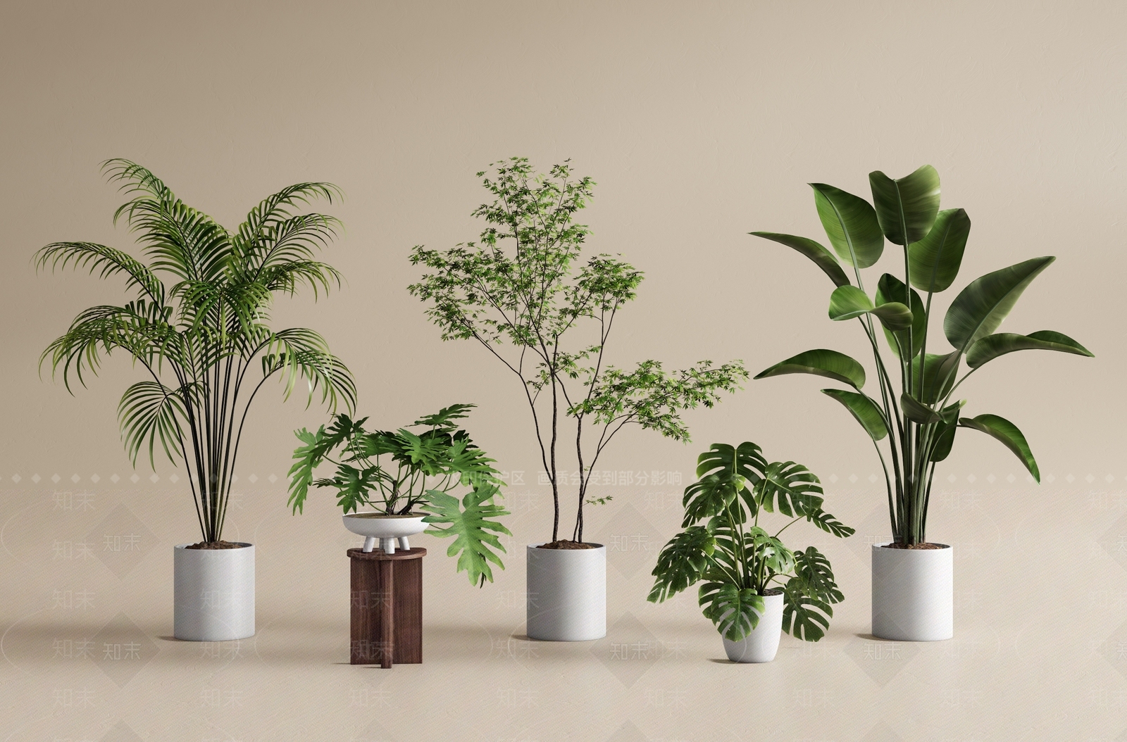 盆栽SU模型下载【ID:1197904172】